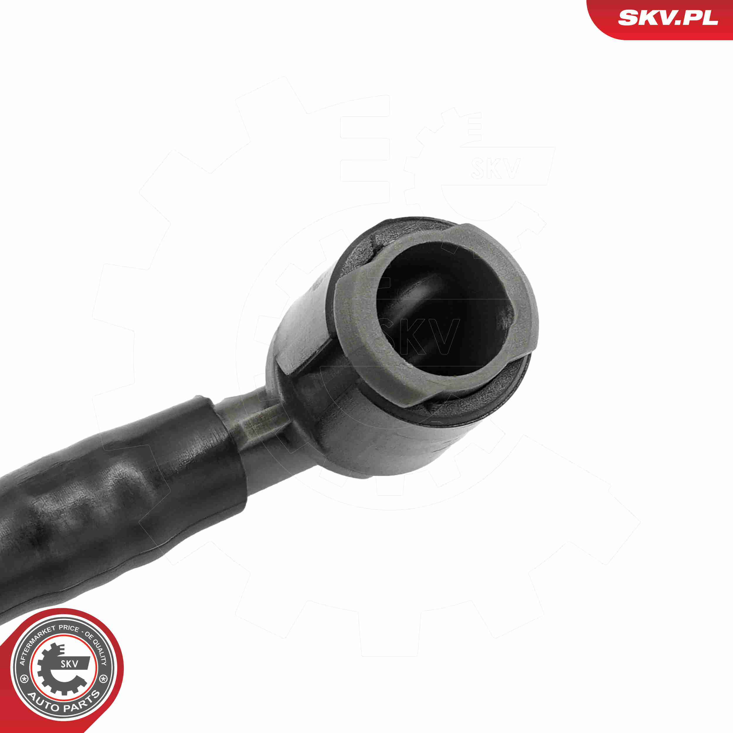 Ilustracja 15SKV293 ESEN SKV dysza spryskiwacza, czyszczenie szyb