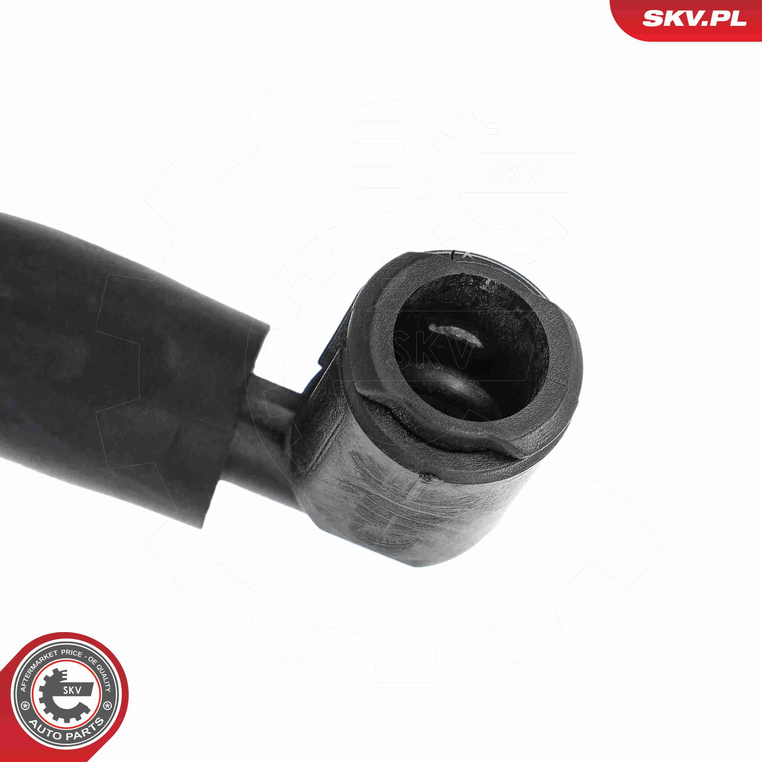 Ilustracja 15SKV235 ESEN SKV dysza spryskiwacza, czyszczenie szyb