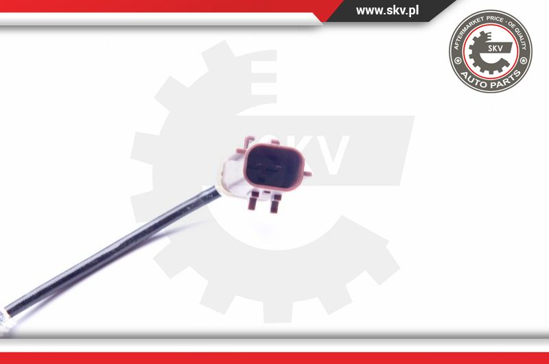 Ilustracja 30SKV113 ESEN SKV czujnik, temperatura spalin