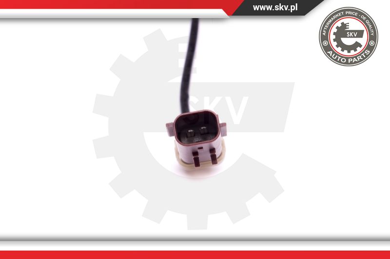 Ilustracja 30SKV309 ESEN SKV czujnik, temperatura spalin