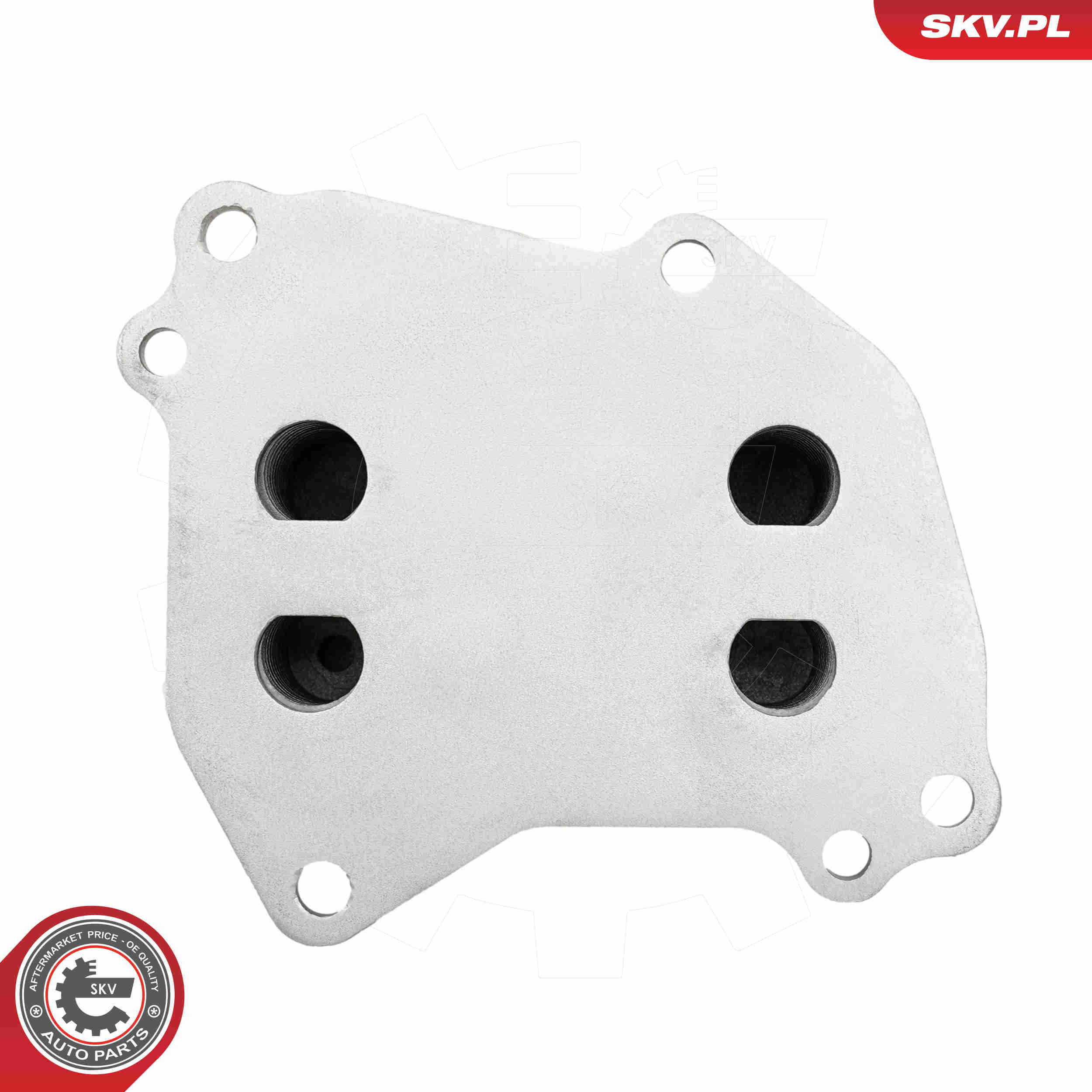 Ilustracja 31SKV466 ESEN SKV chłodnica oleju, olej silnikowy