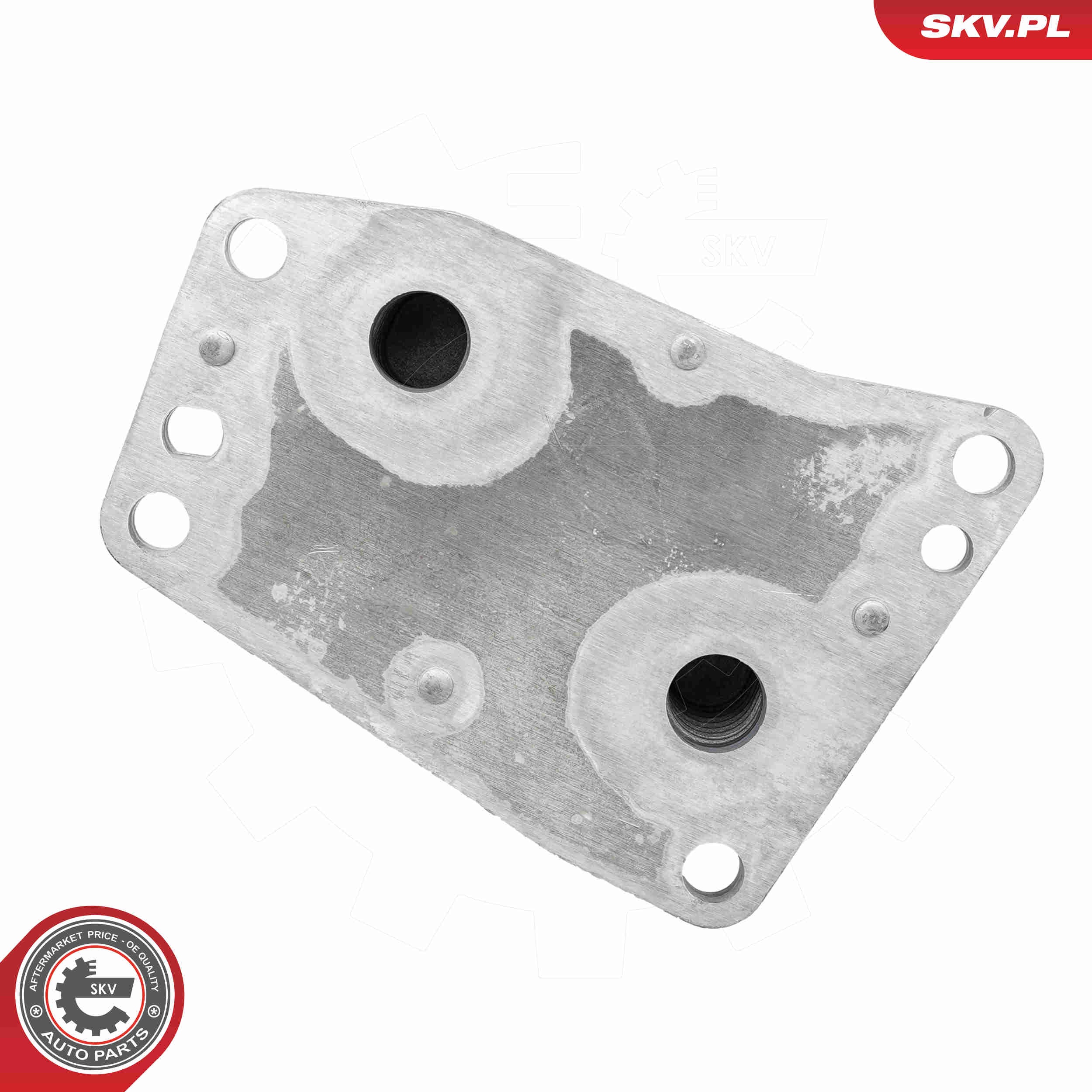 Ilustracja 31SKV481 ESEN SKV chłodnica oleju, olej silnikowy