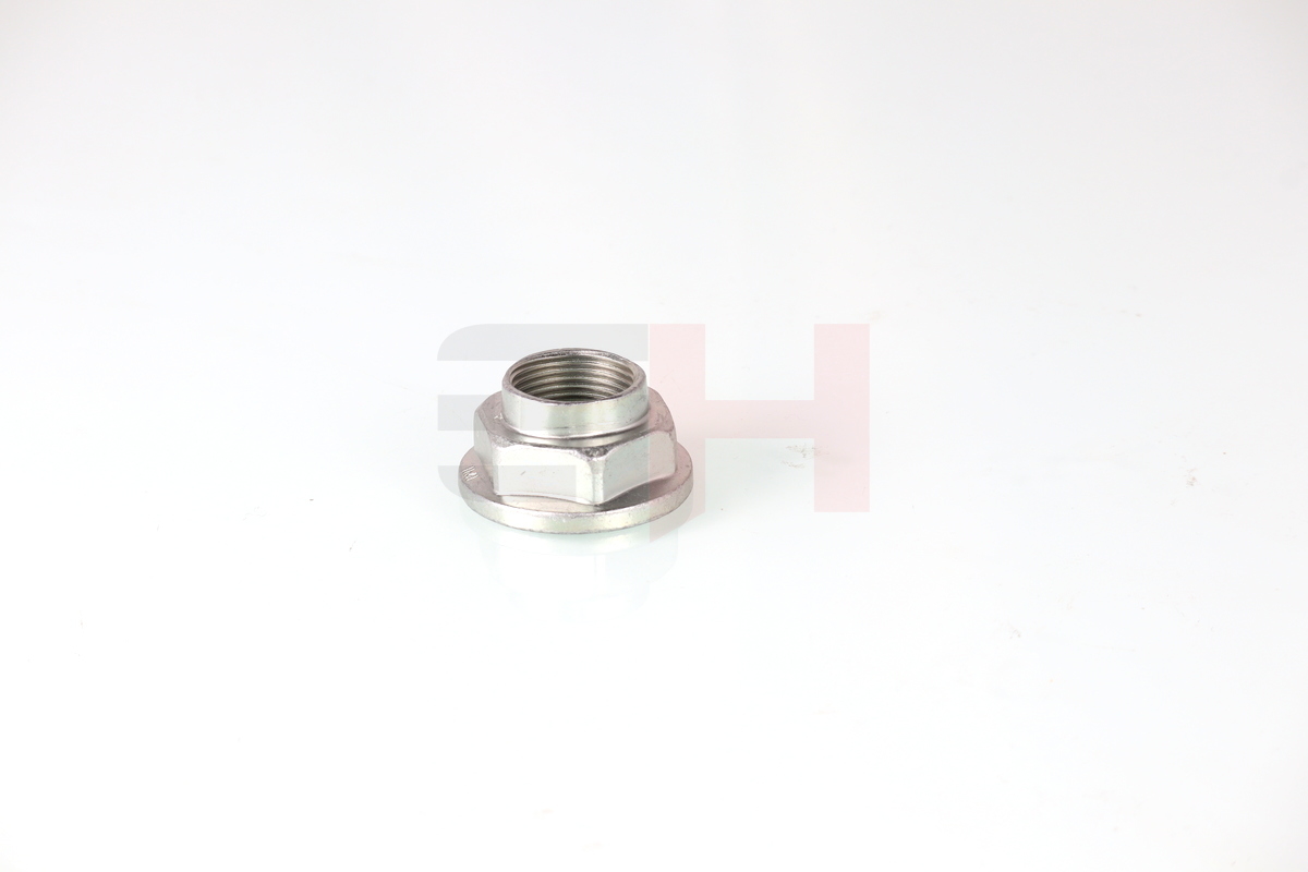 Ilustracja GH-392542 GH nakrętka, czop osi