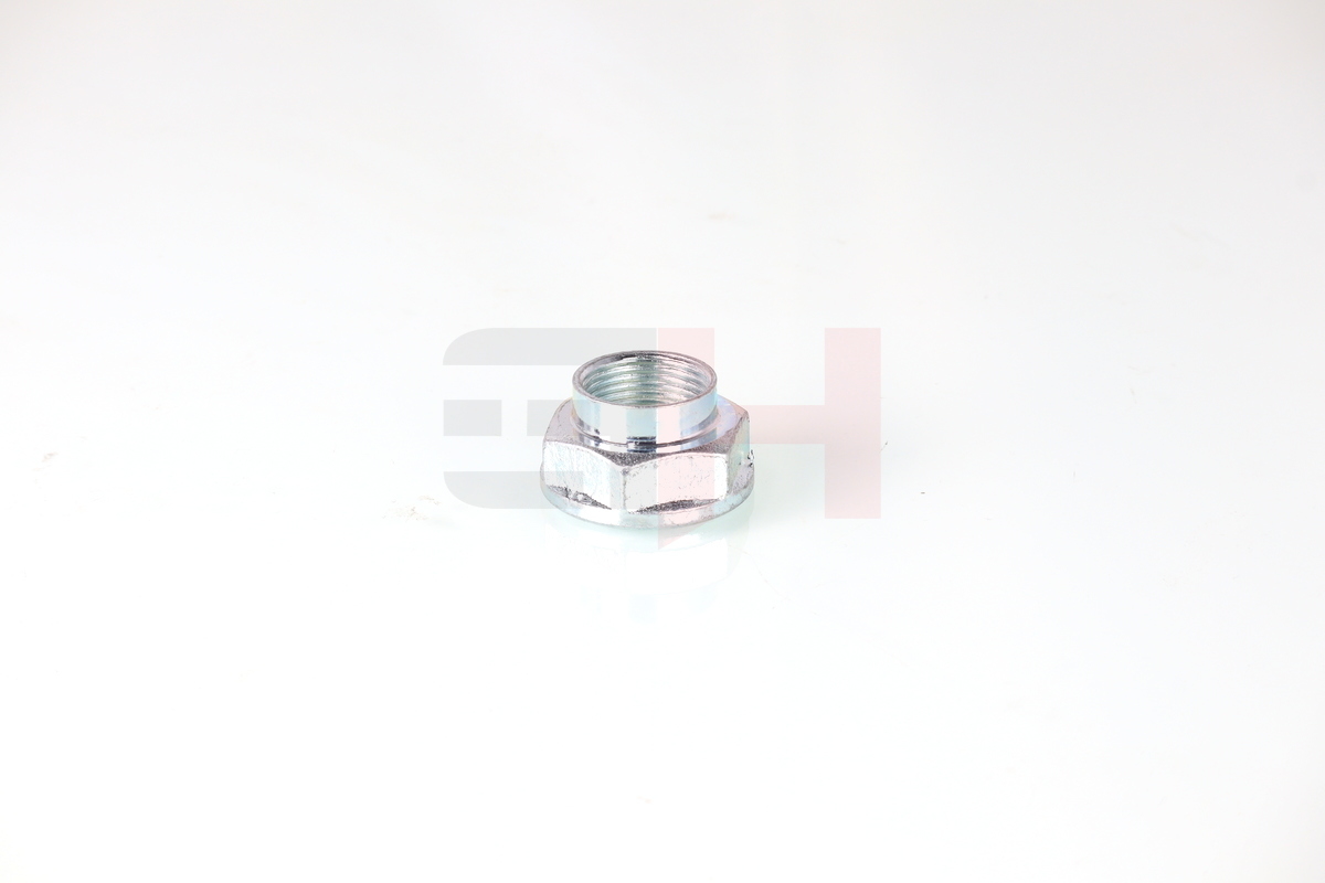 Ilustracja GH-392635 GH nakrętka, czop osi