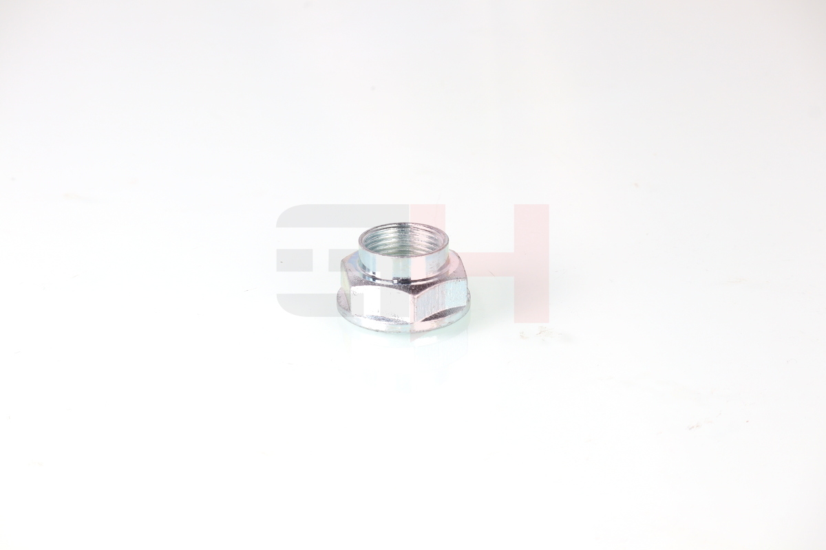 Ilustracja GH-392635 GH nakrętka, czop osi