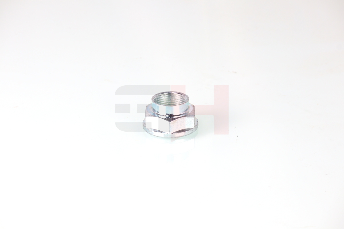 Ilustracja GH-392635 GH nakrętka, czop osi