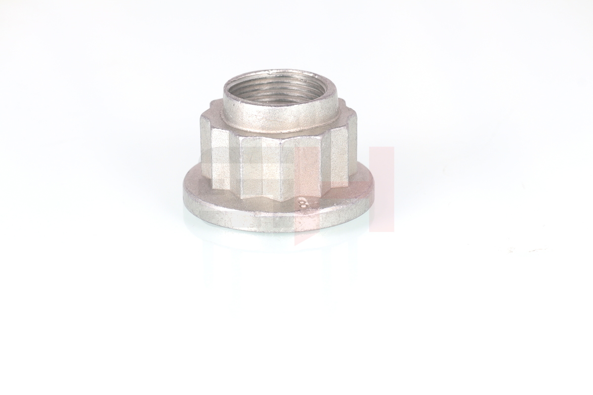 Ilustracja GH-399907 GH nakrętka, czop osi