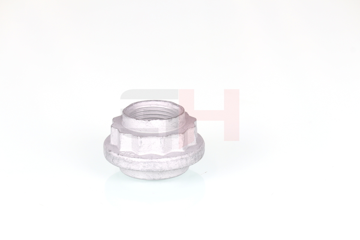 Ilustracja GH-399905 GH nakrętka, czop osi