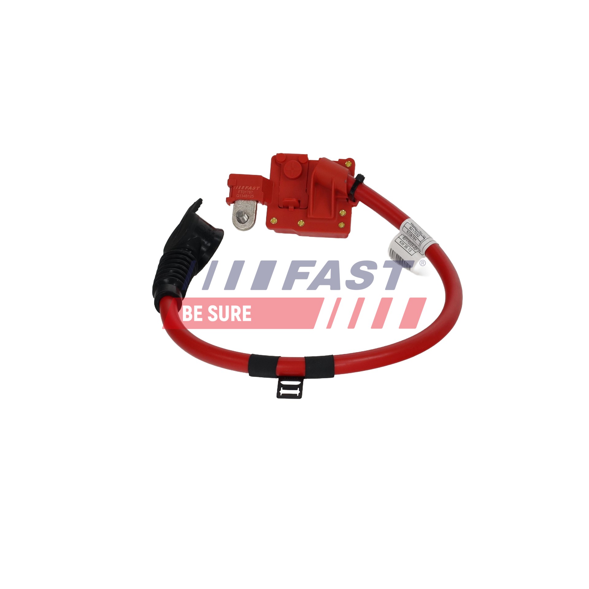 Ilustracja FT01787 FAST adapter do akumulatora