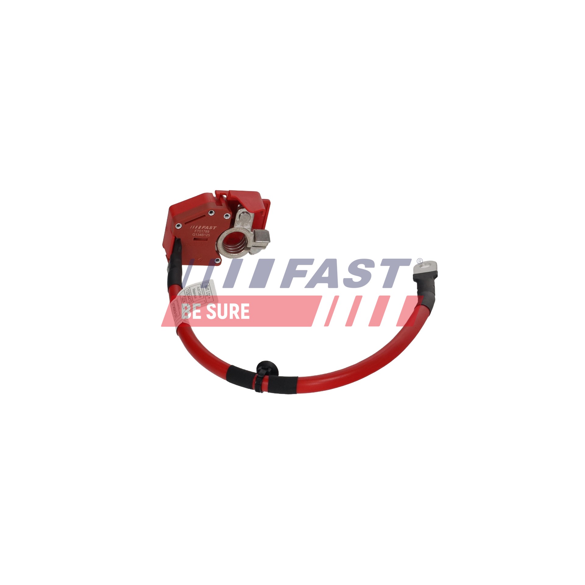 Ilustracja FT01789 FAST adapter do akumulatora