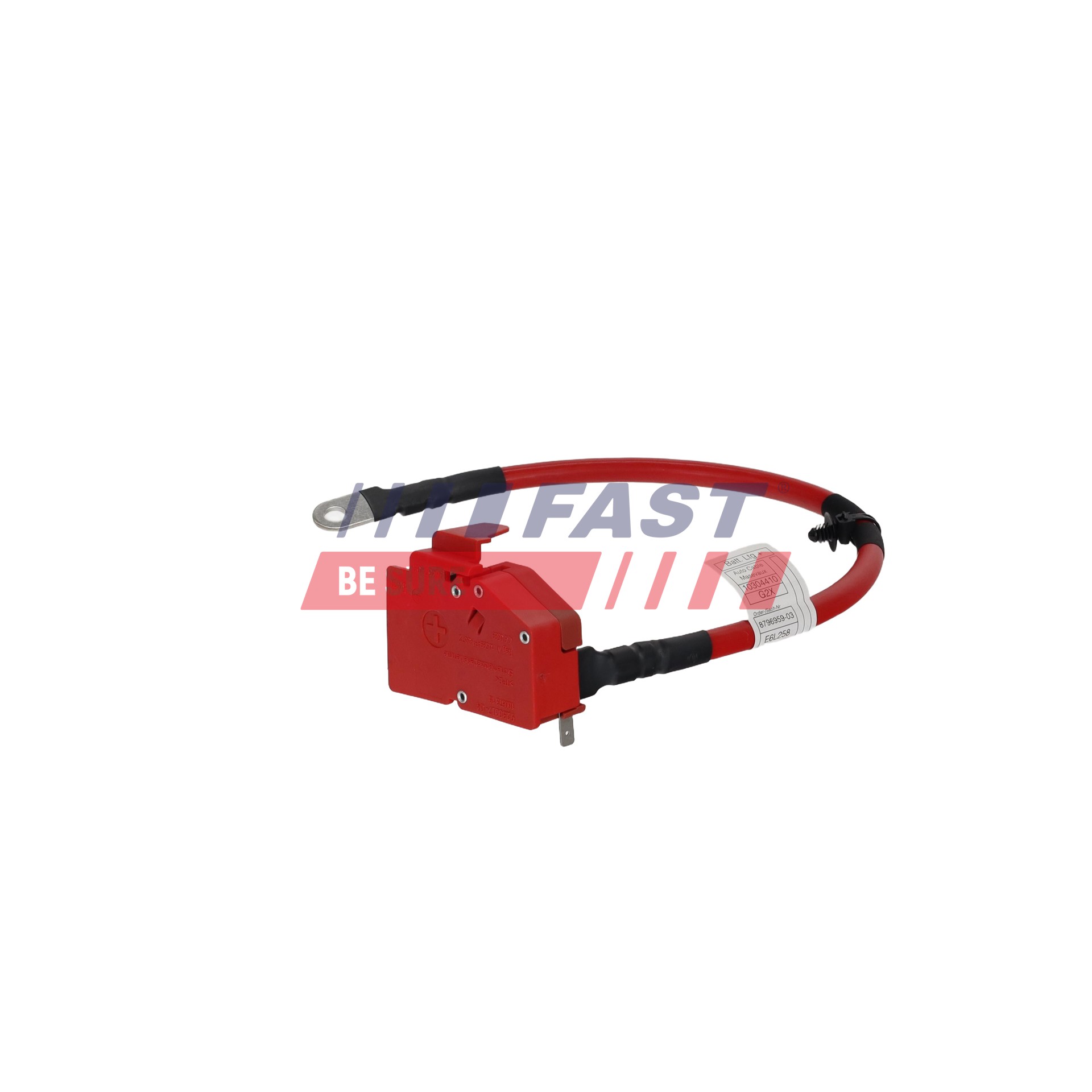 Ilustracja FT01789 FAST adapter do akumulatora