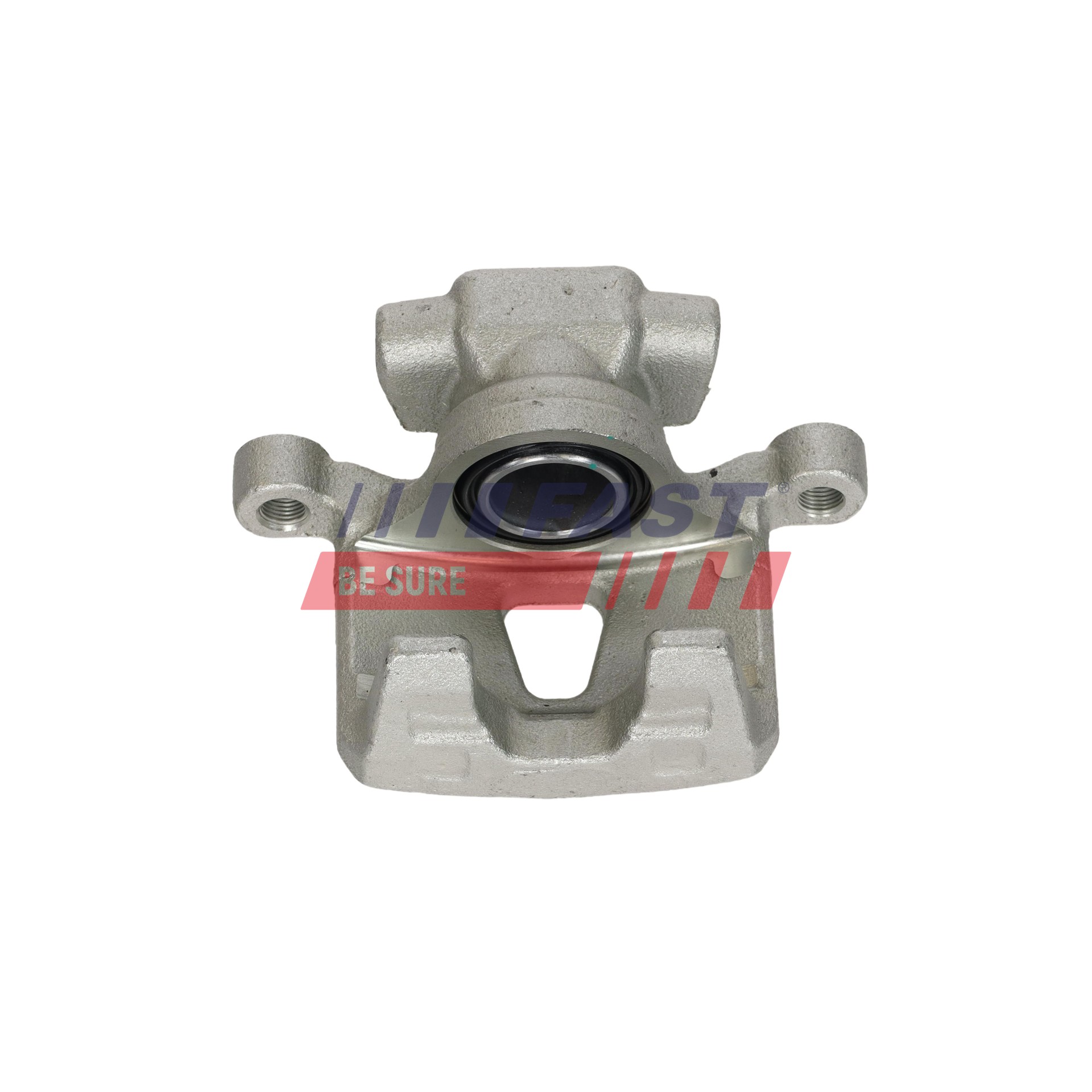 Ilustracja FT02569 FAST zacisk hamulca