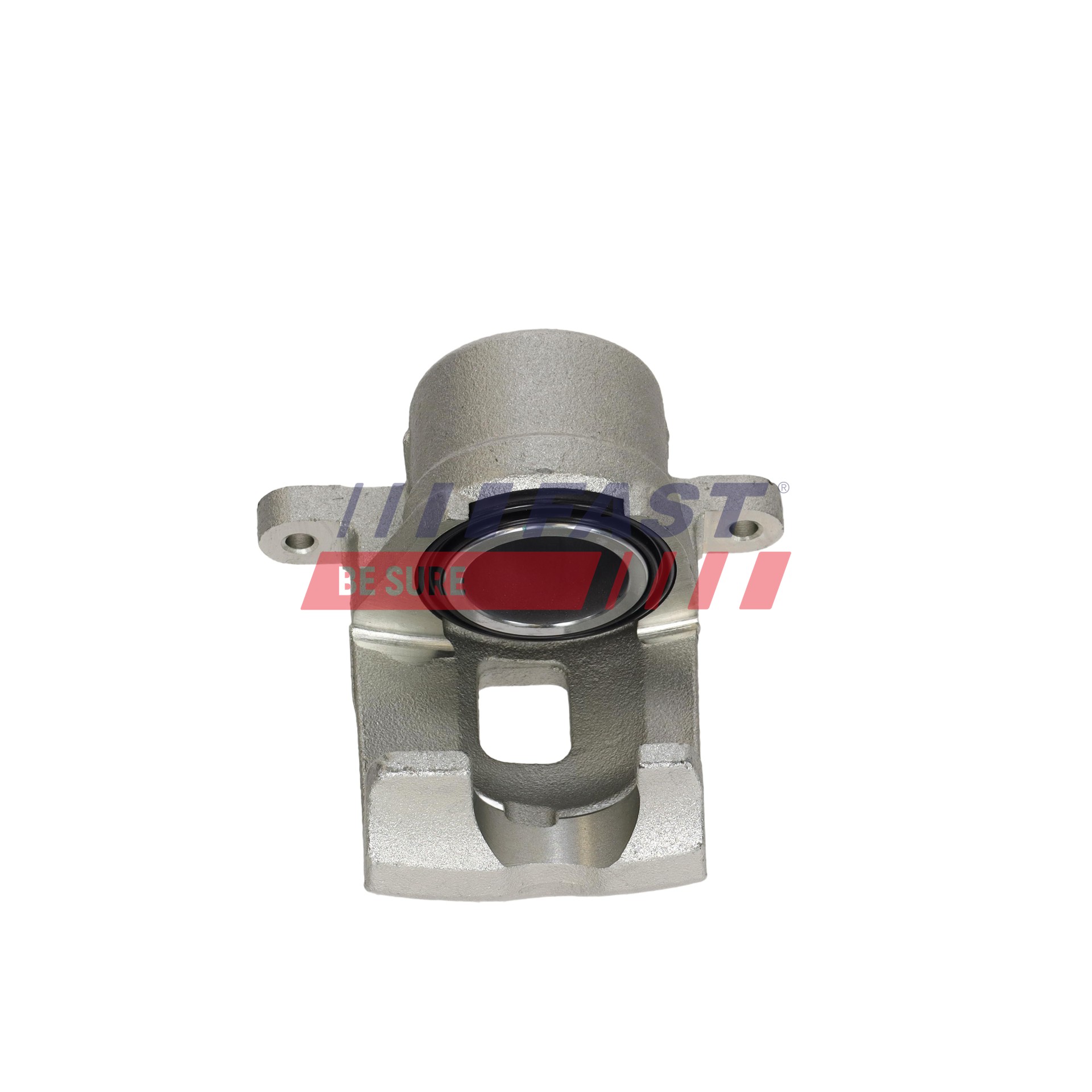 Ilustracja FT02573 FAST zacisk hamulca