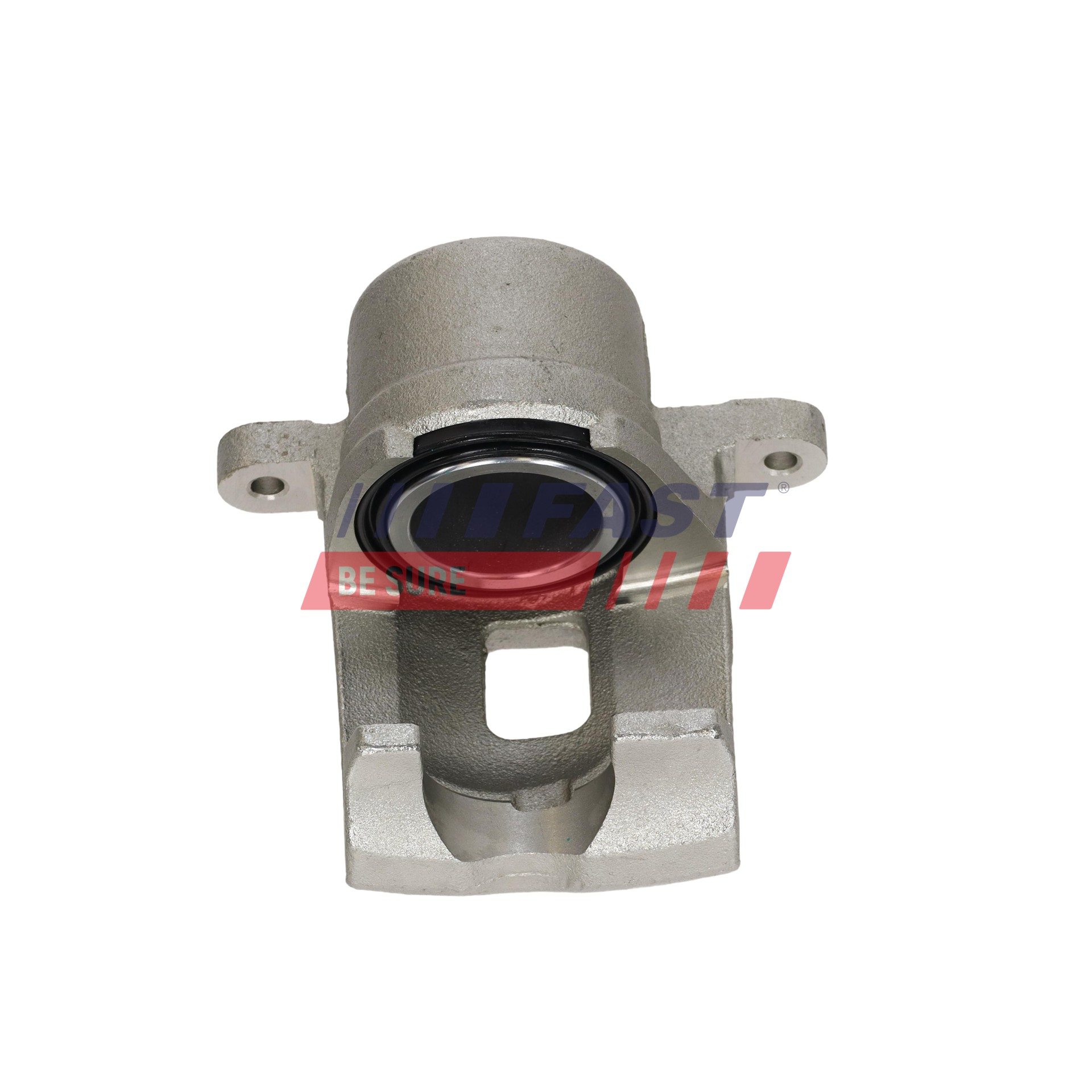 Ilustracja FT02574 FAST zacisk hamulca