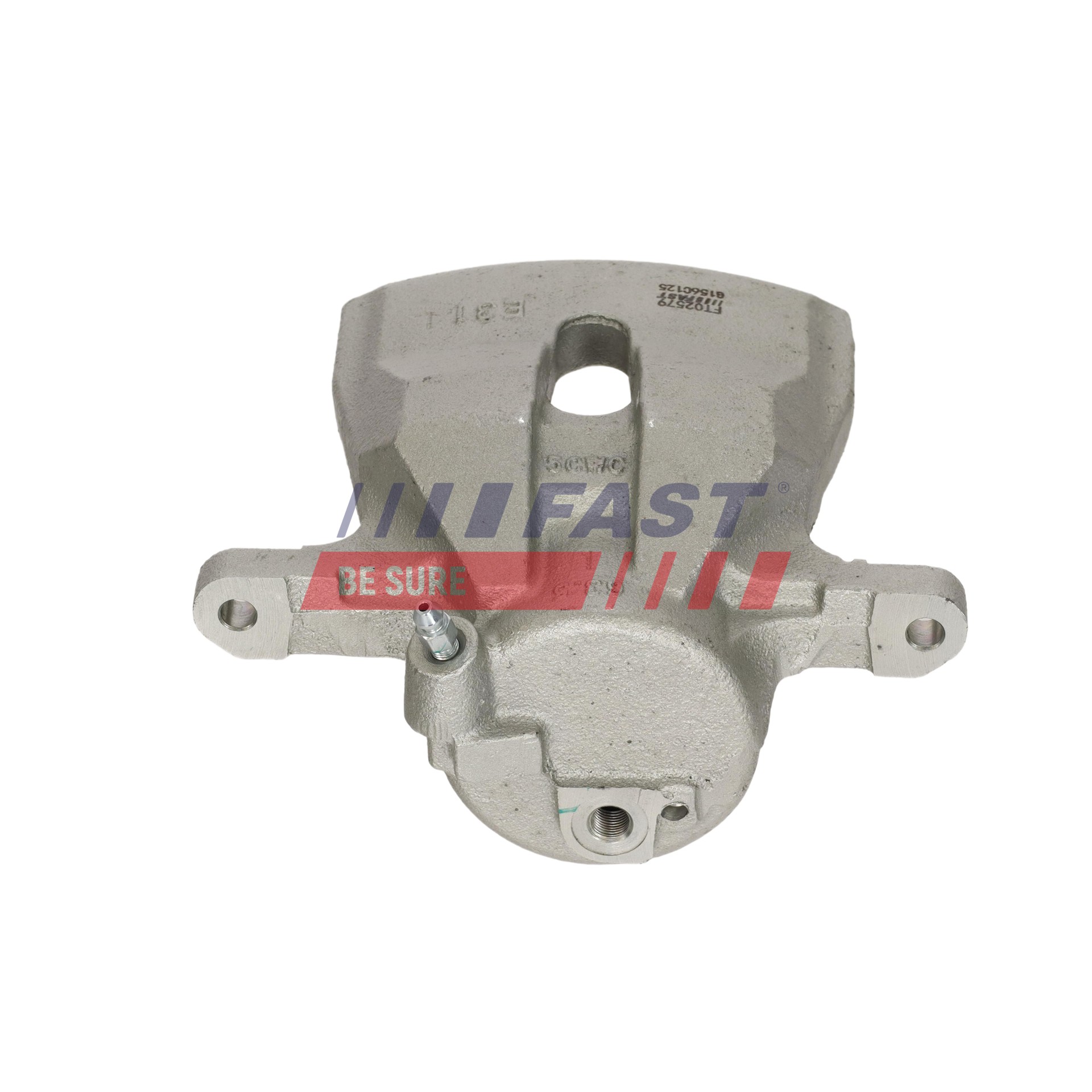 Ilustracja FT02579 FAST zacisk hamulca