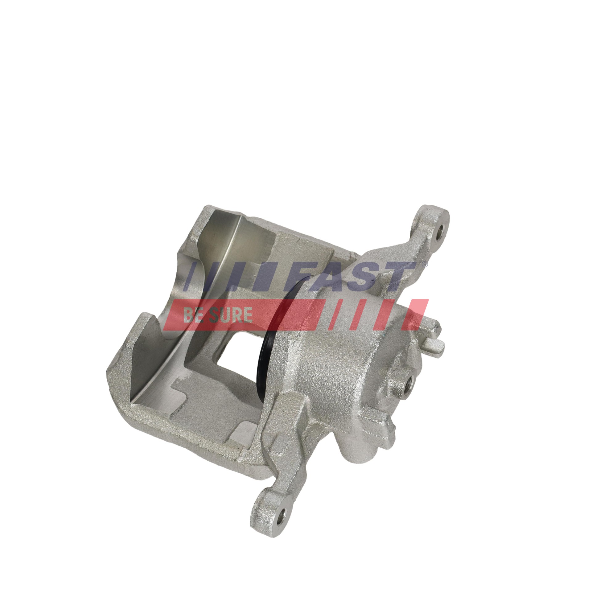 Ilustracja FT02586 FAST zacisk hamulca