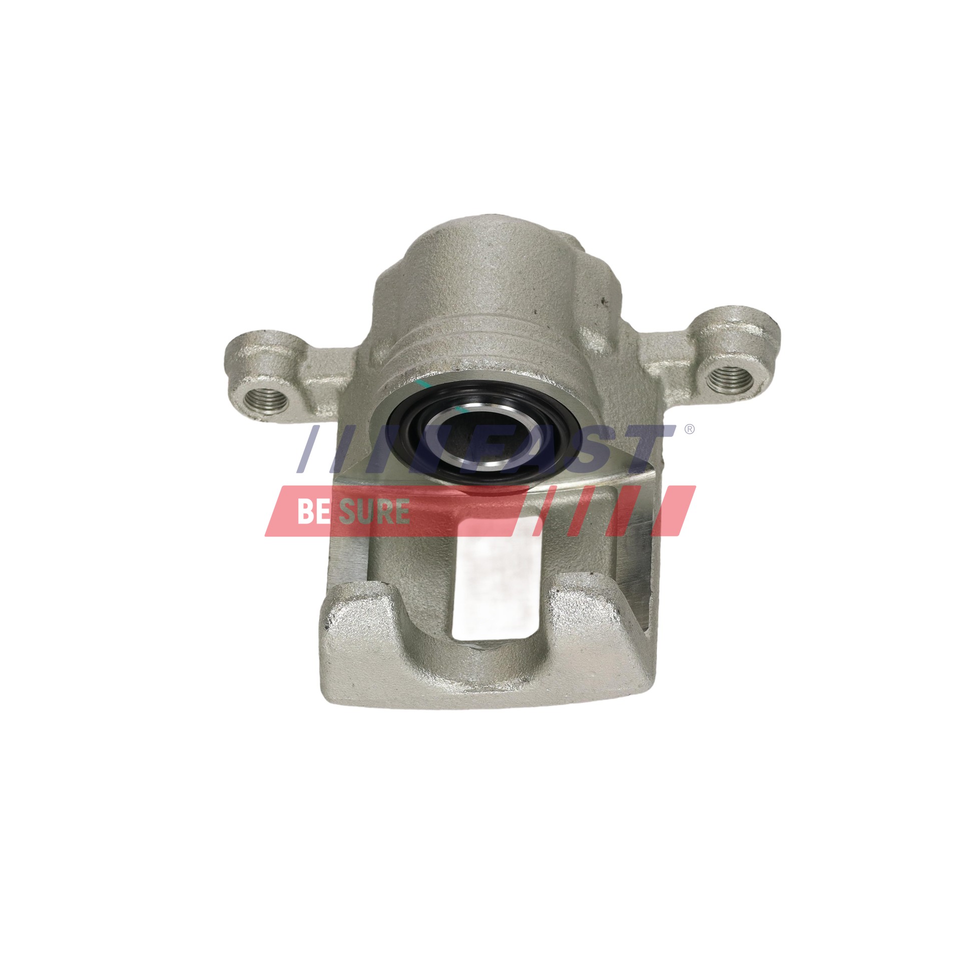 Ilustracja FT02613 FAST zacisk hamulca