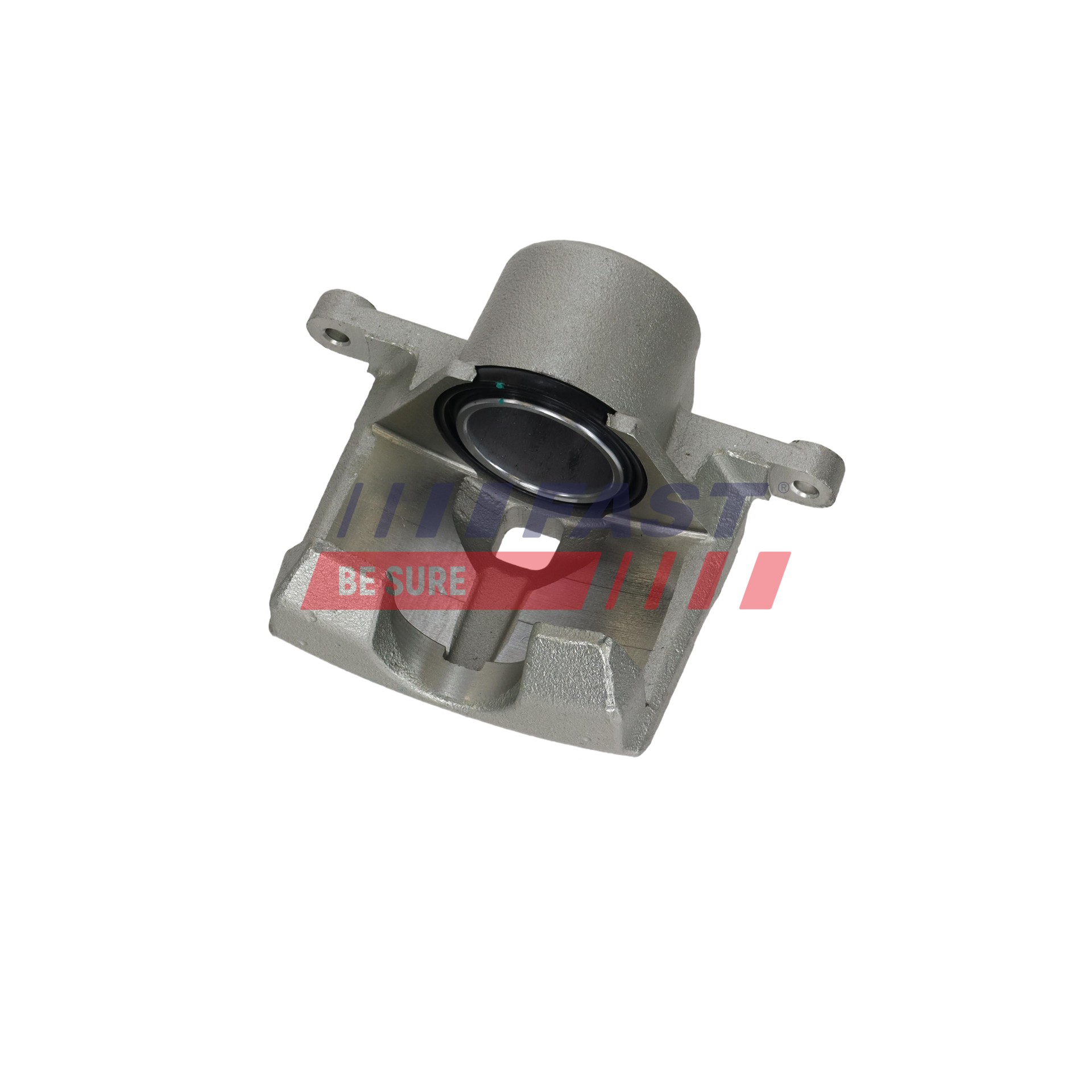 Ilustracja FT02625 FAST zacisk hamulca