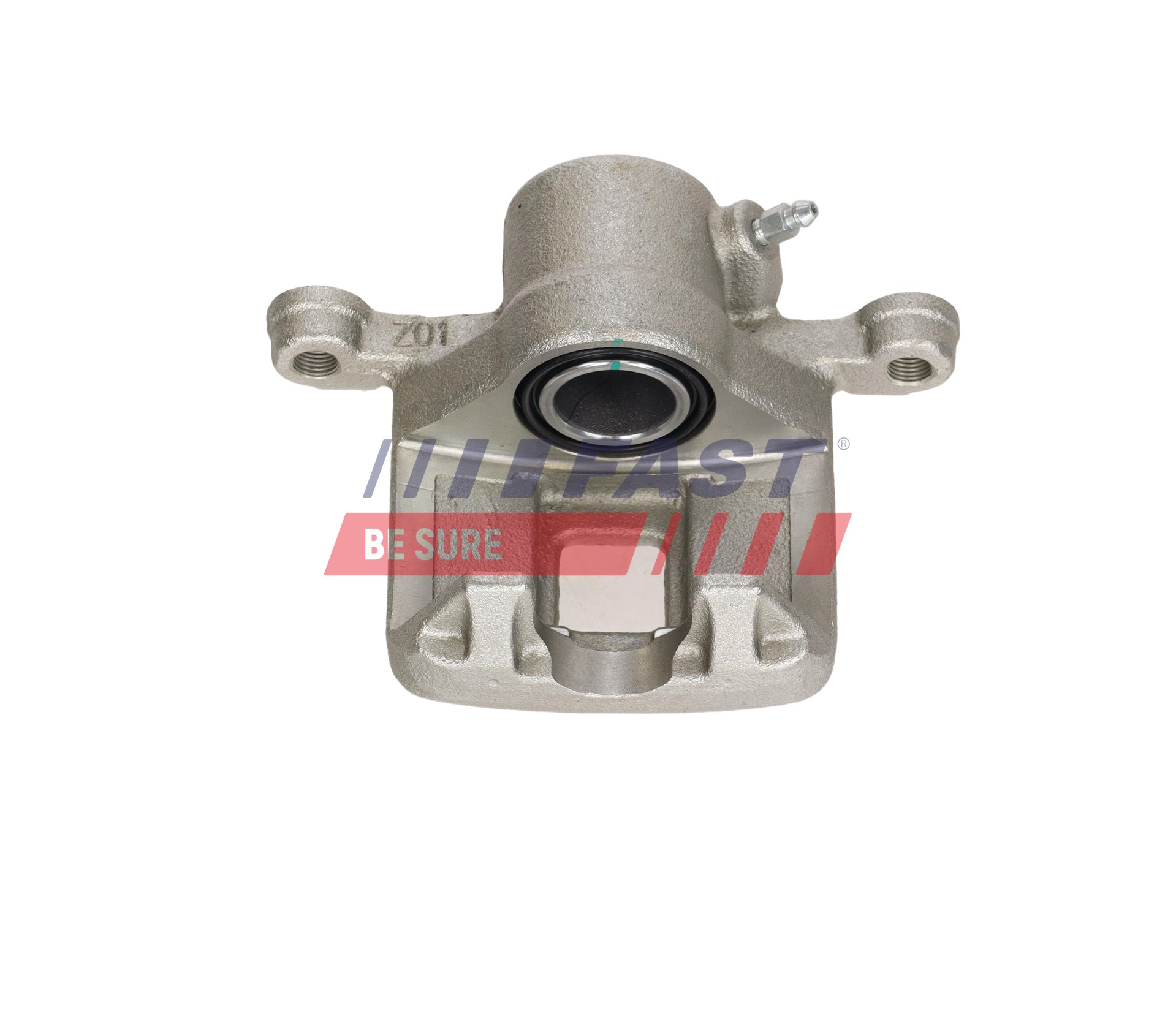 Ilustracja FT02643 FAST zacisk hamulca