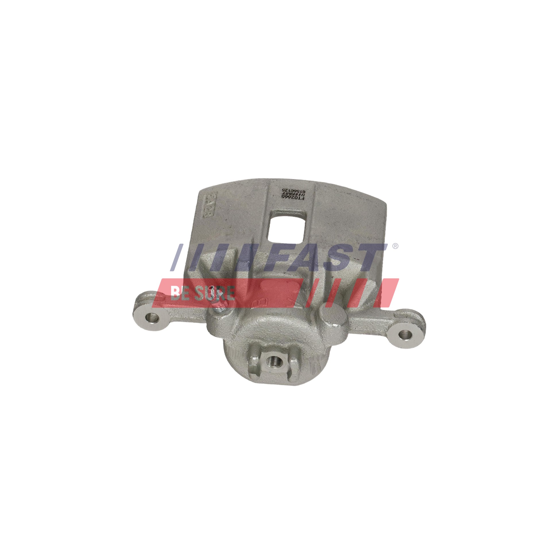 Ilustracja FT02665 FAST zacisk hamulca