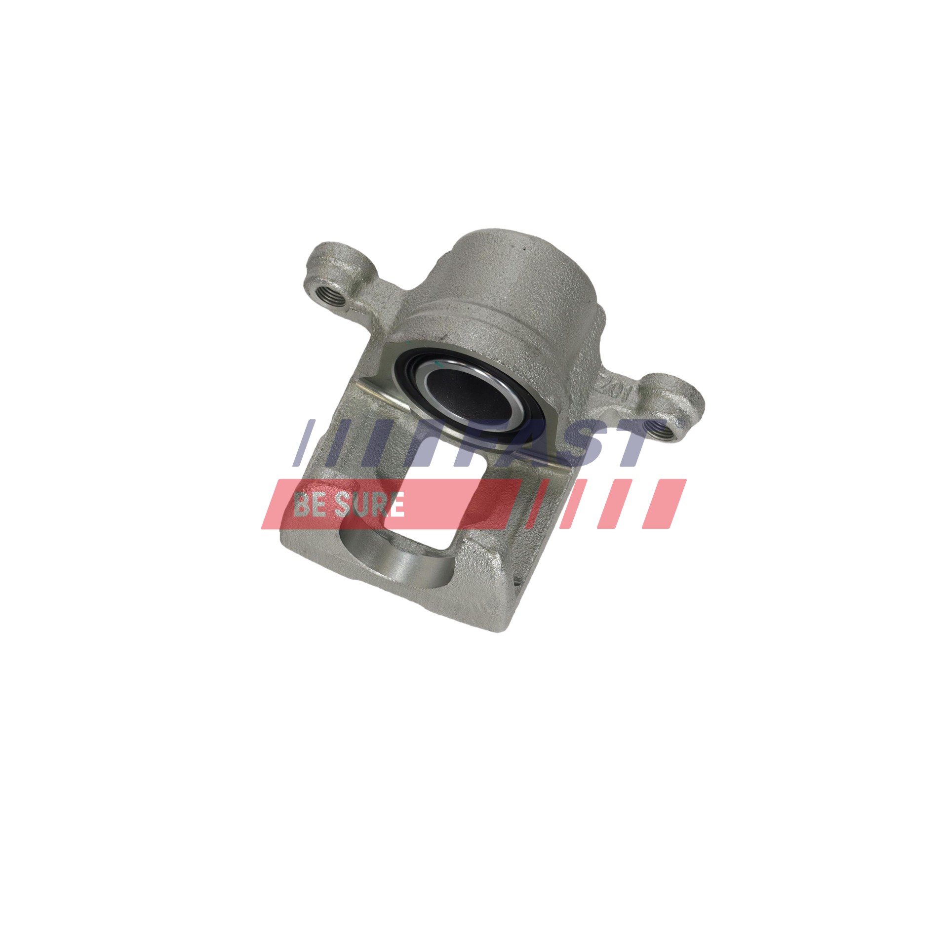 Ilustracja FT02972 FAST zacisk hamulca