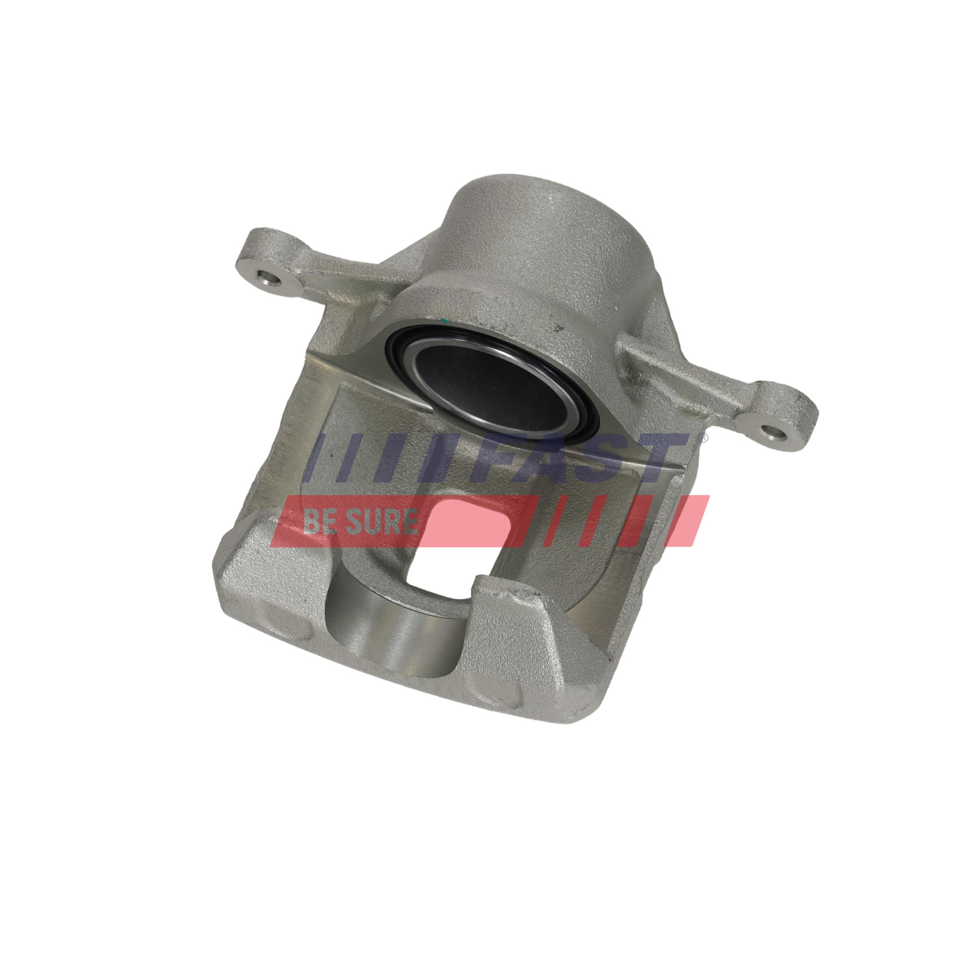 Ilustracja FT02992 FAST zacisk hamulca