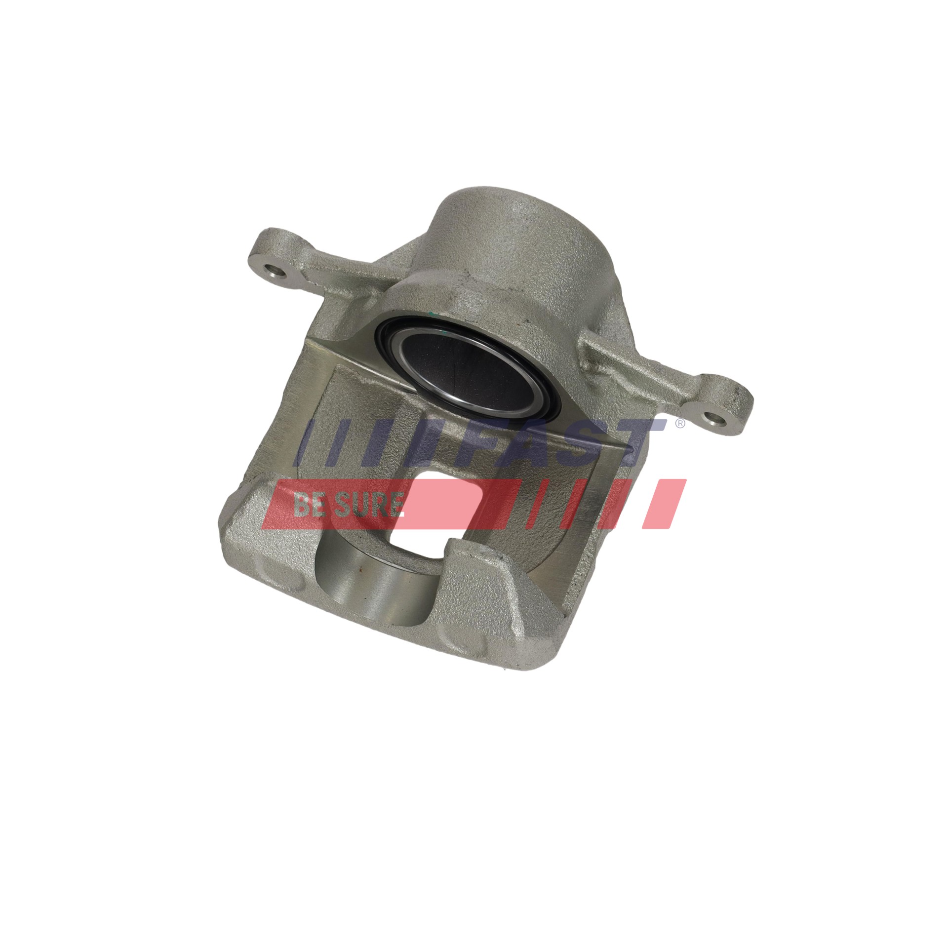 Ilustracja FT02993 FAST zacisk hamulca