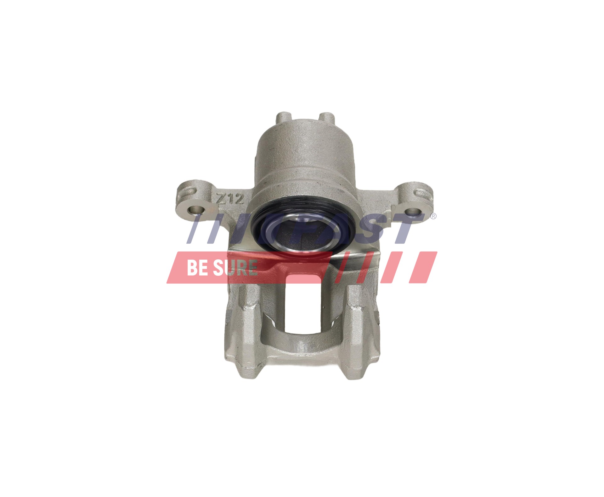 Ilustracja FT02355 FAST zacisk hamulca