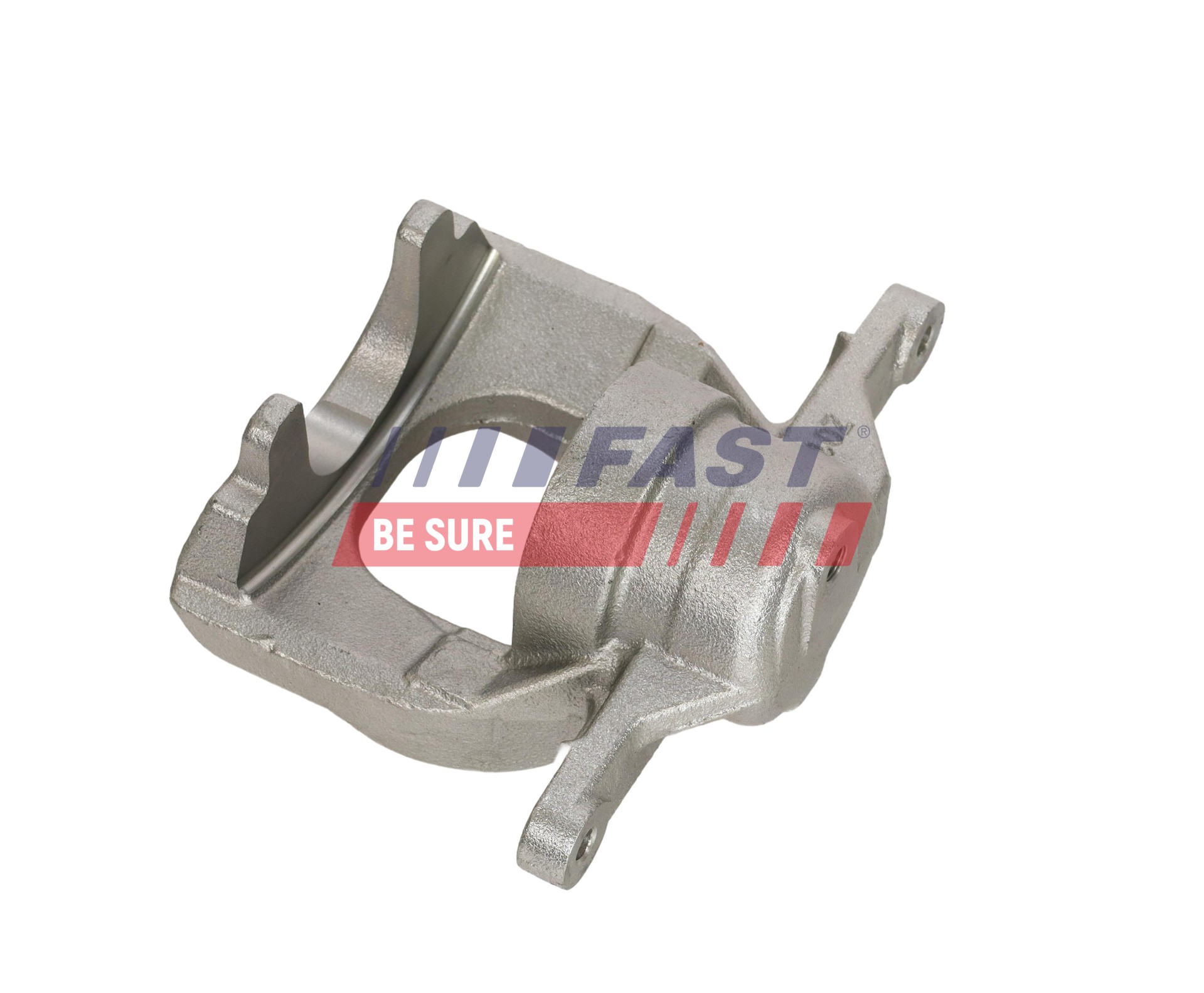 Ilustracja FT02392 FAST zacisk hamulca