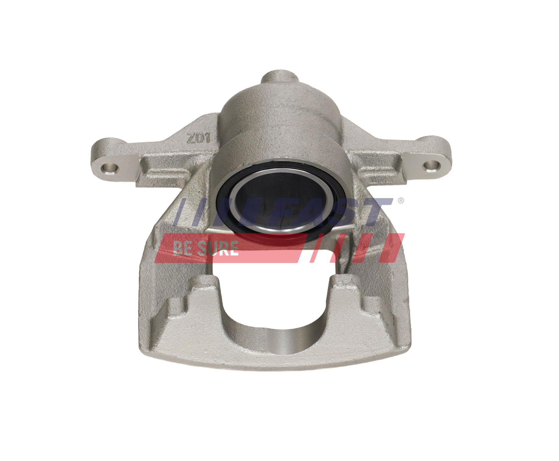 Ilustracja FT02392 FAST zacisk hamulca