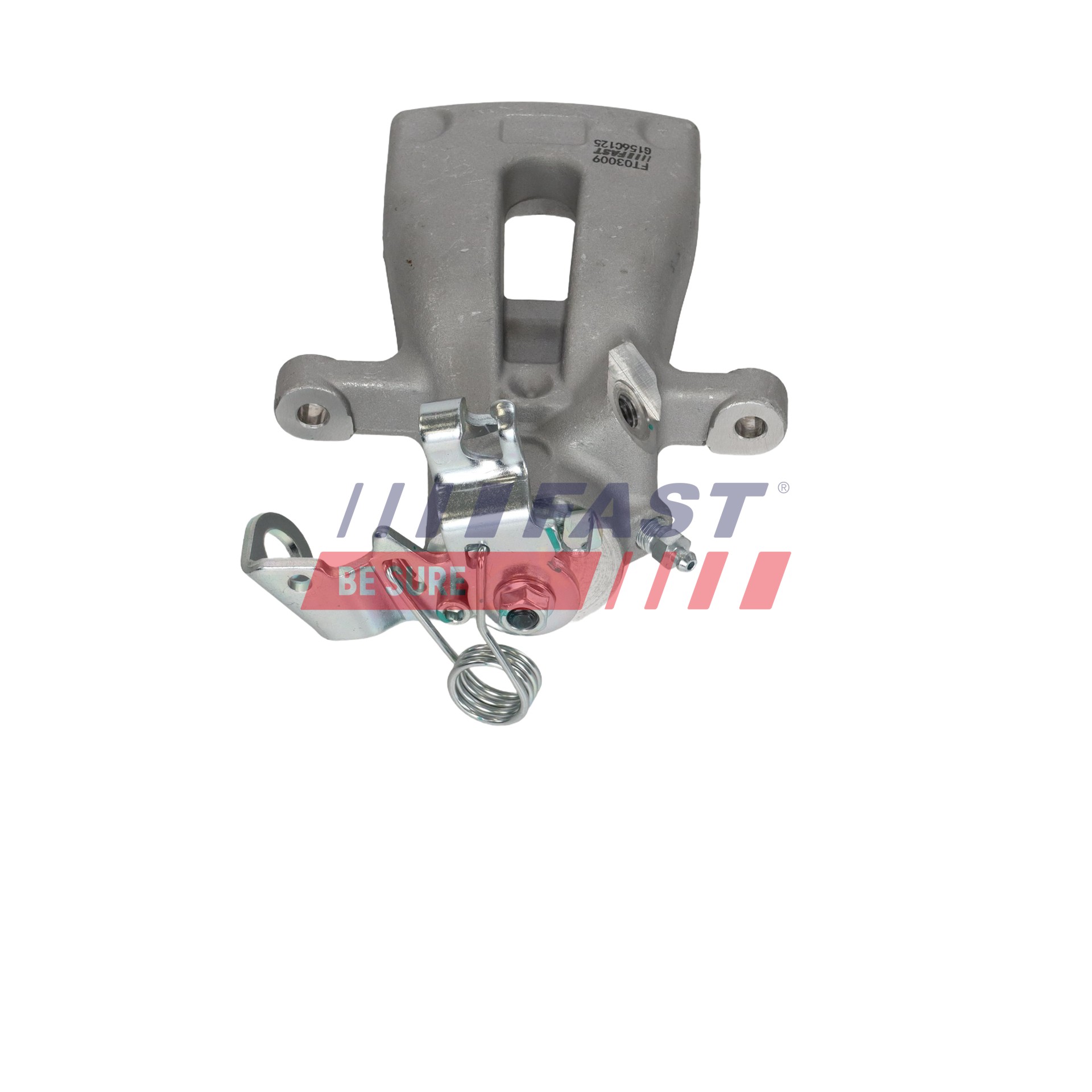 Ilustracja FT03009 FAST zacisk hamulca