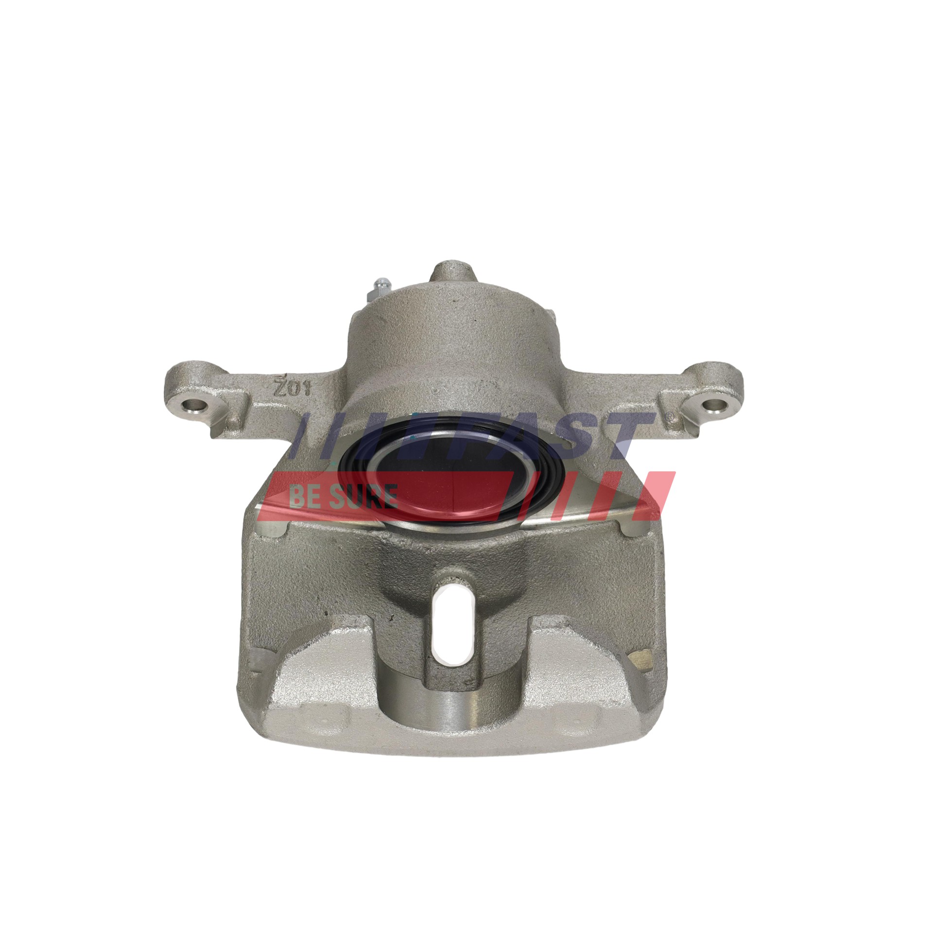 Ilustracja FT03048 FAST zacisk hamulca