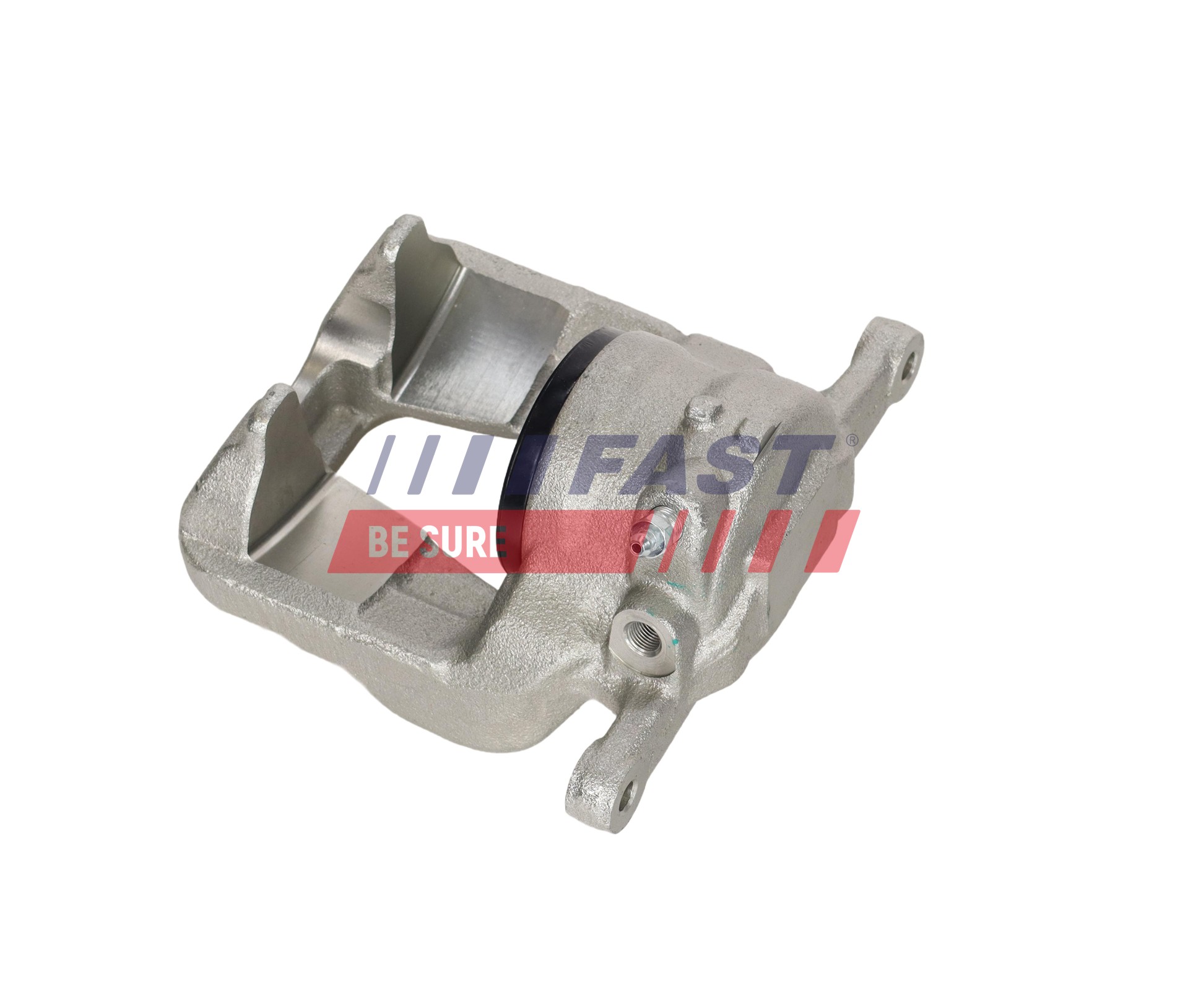 Ilustracja FT03053 FAST zacisk hamulca