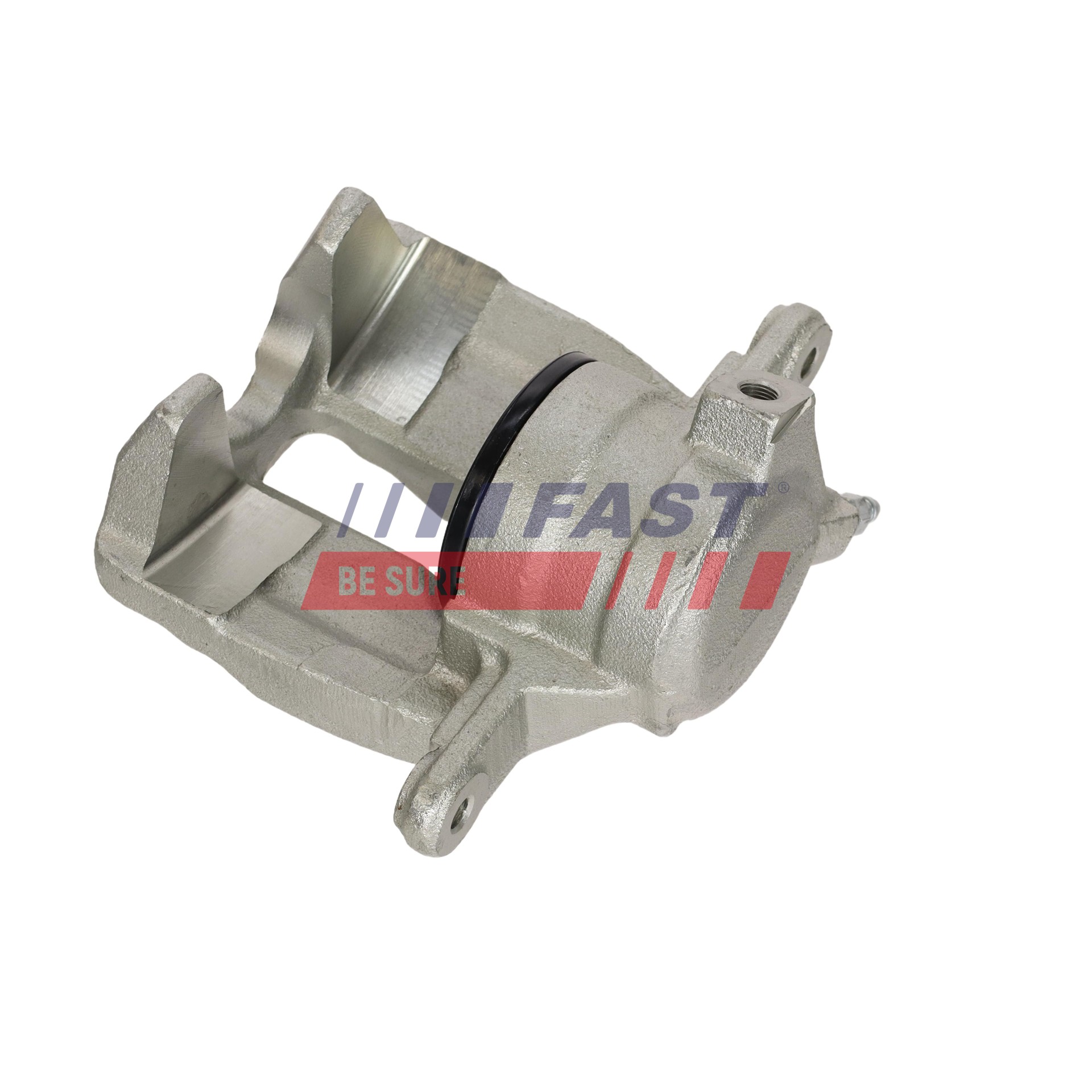 Ilustracja FT03063 FAST zacisk hamulca