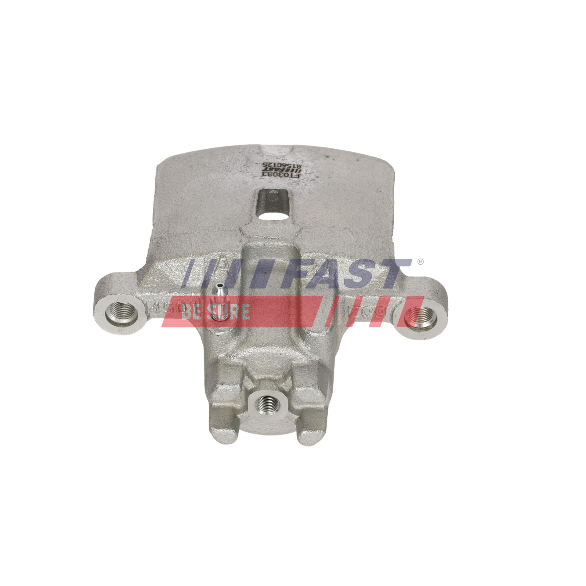 Ilustracja FT03083 FAST zacisk hamulca