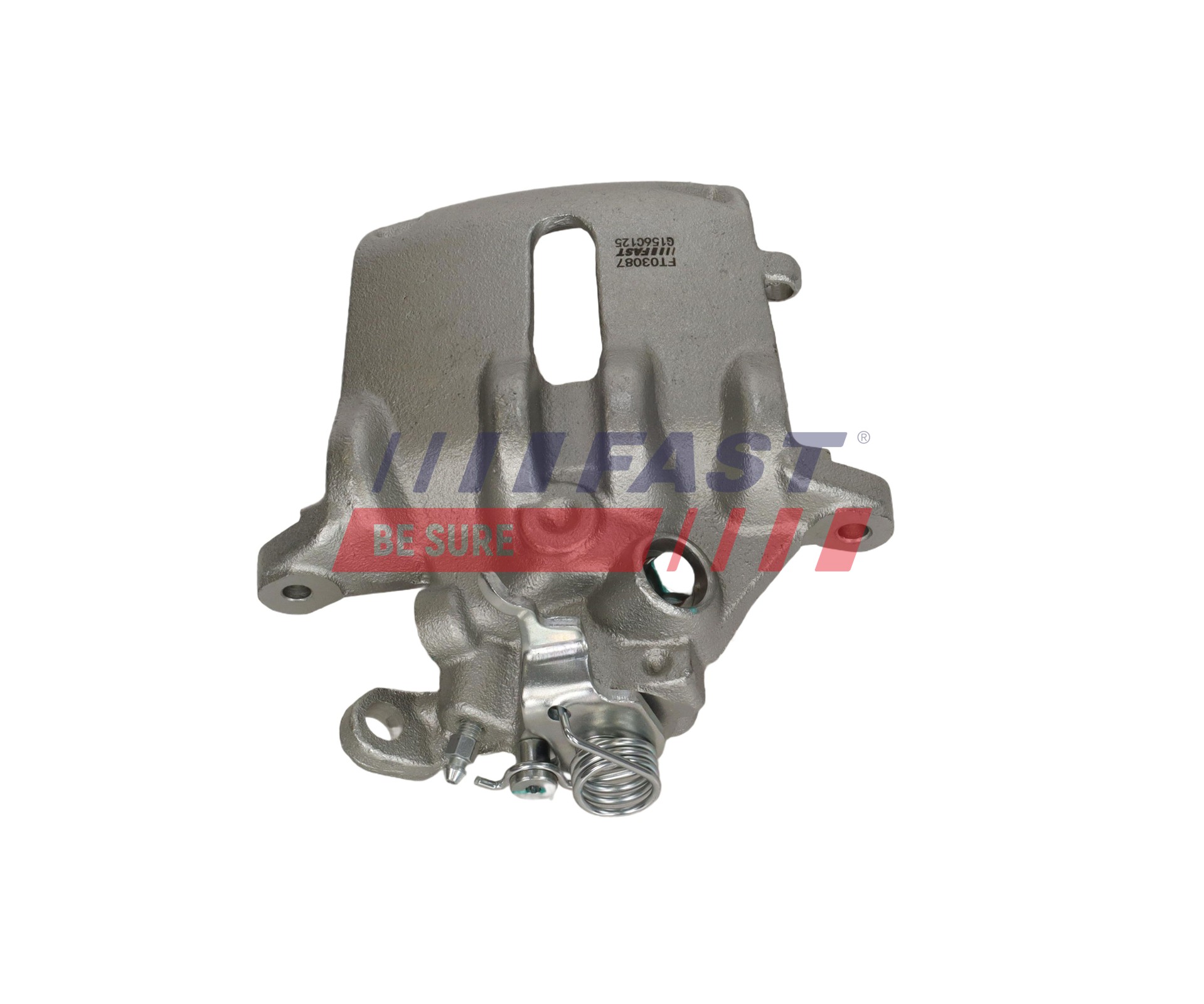 Ilustracja FT03087 FAST zacisk hamulca