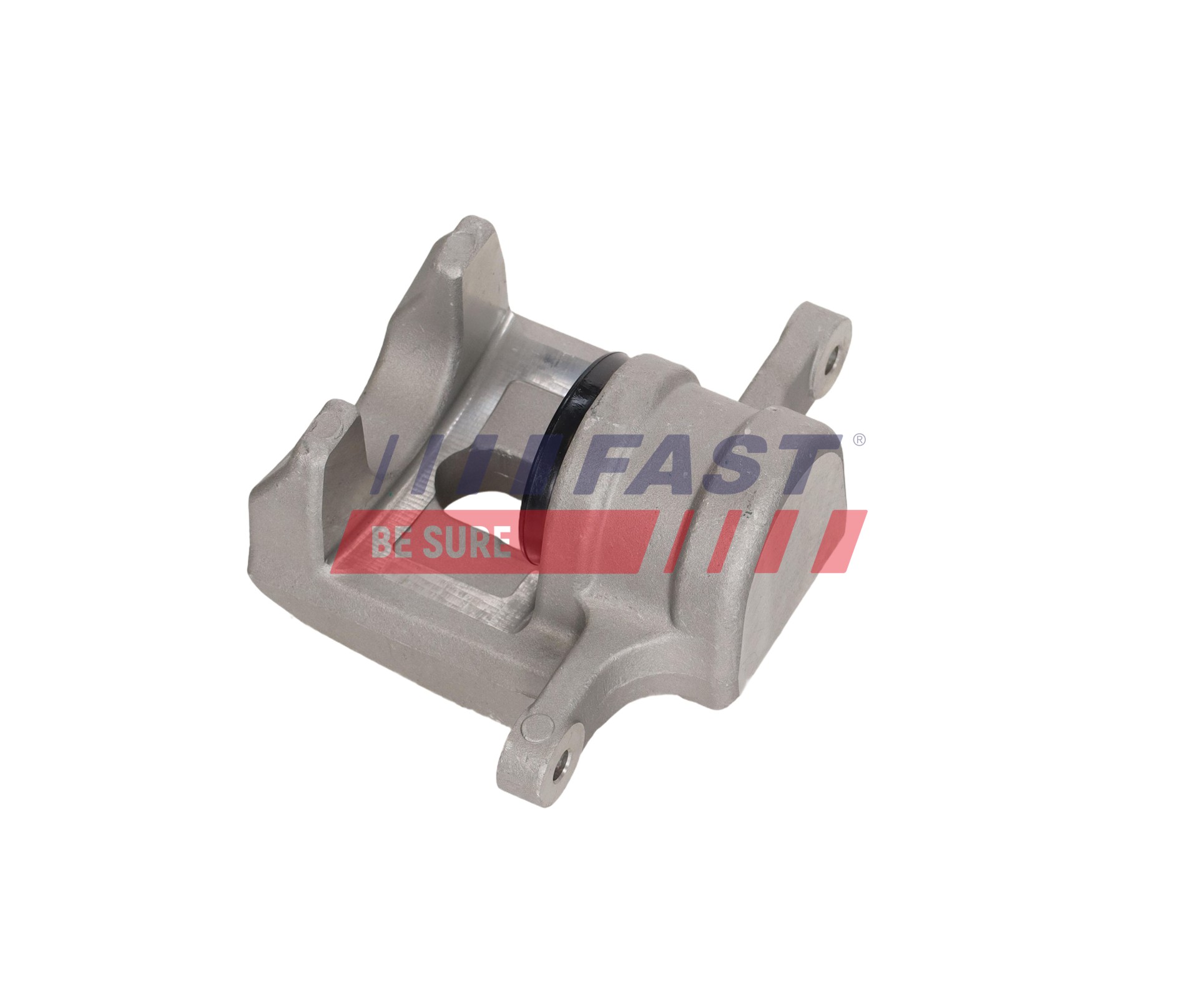 Ilustracja FT03129 FAST zacisk hamulca