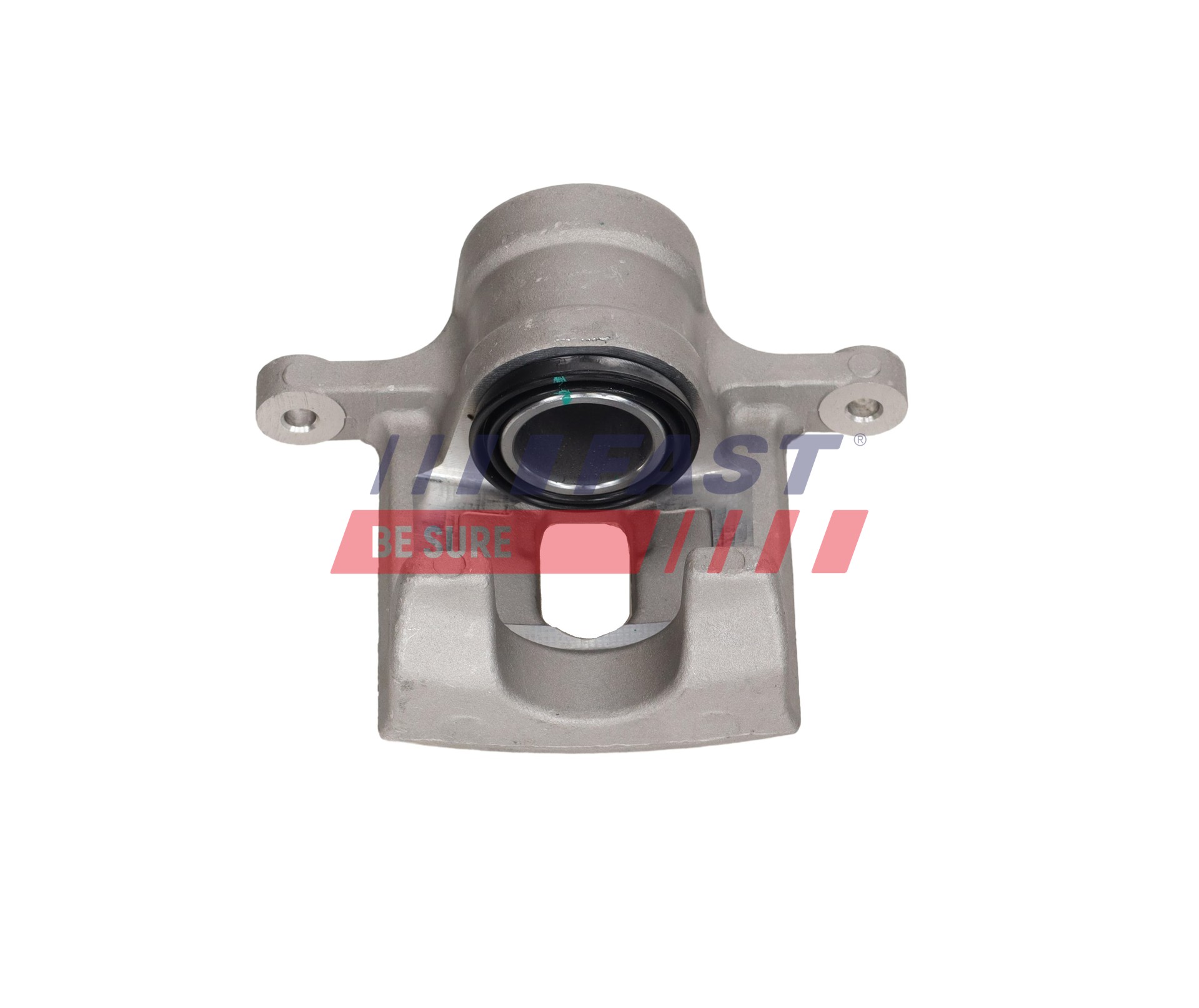 Ilustracja FT03129 FAST zacisk hamulca