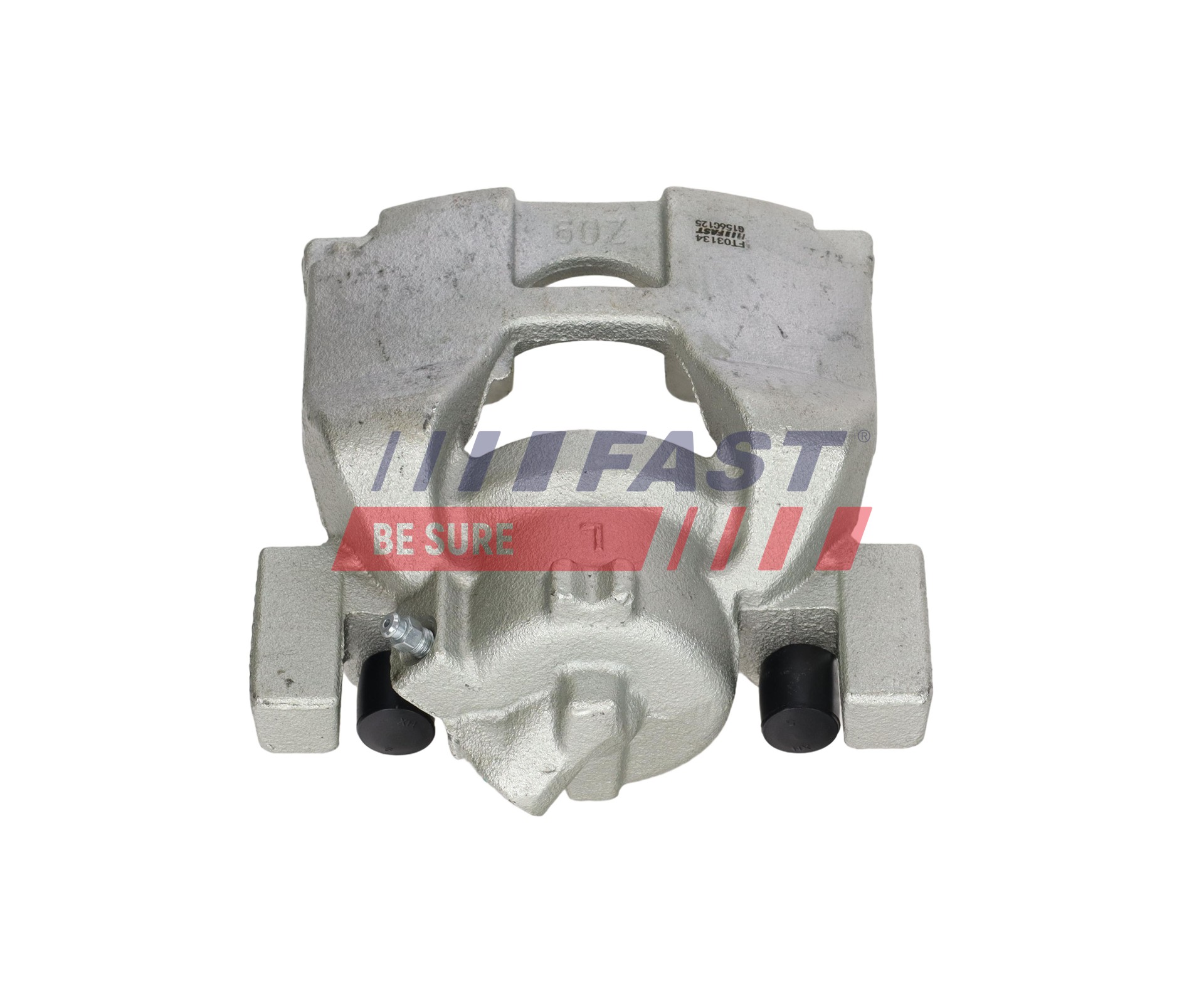 Ilustracja FT03134 FAST zacisk hamulca