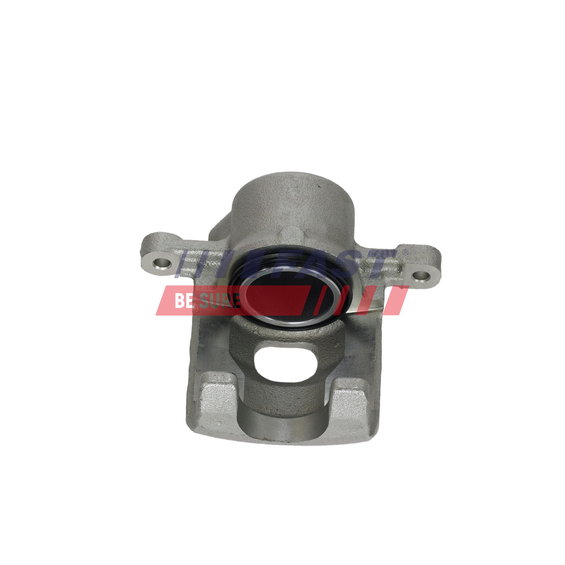 Ilustracja FT03146 FAST zacisk hamulca