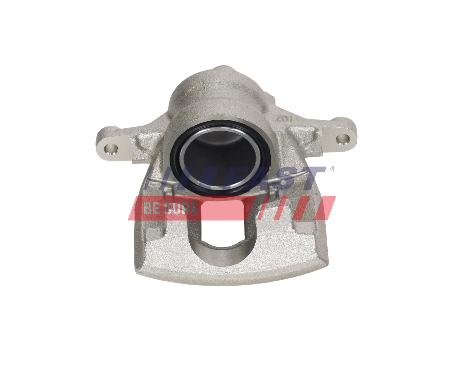 Ilustracja FT03153 FAST zacisk hamulca