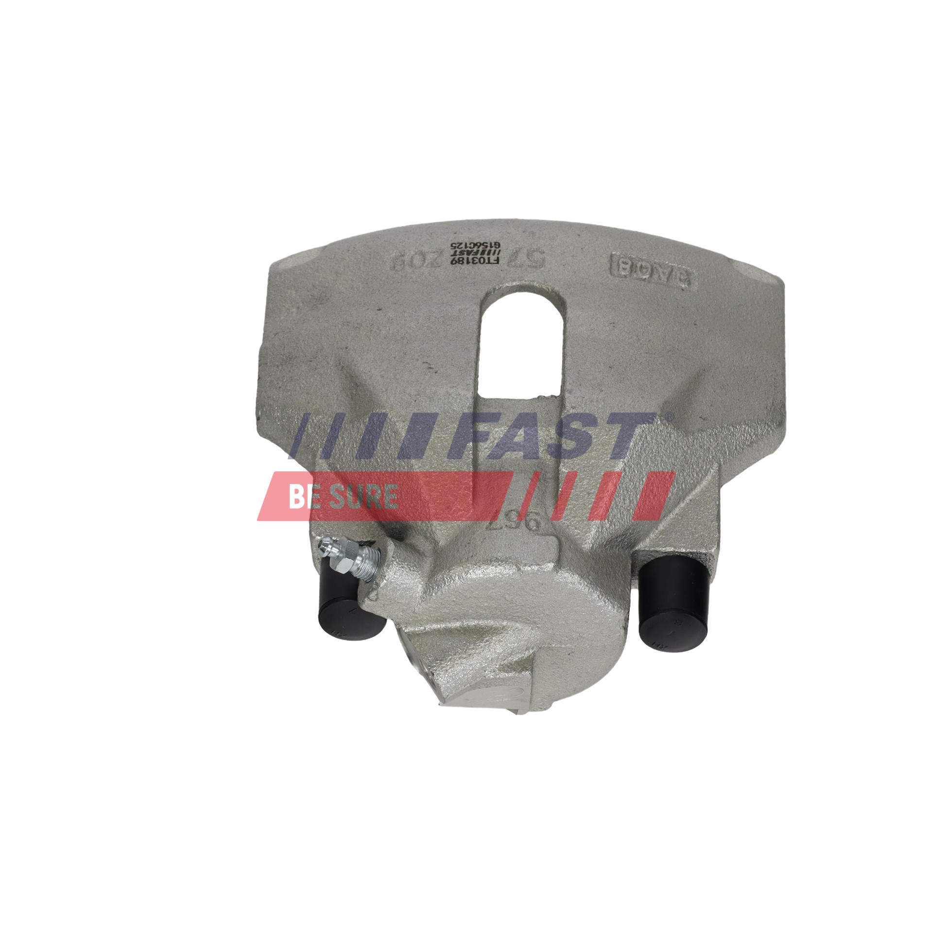 Ilustracja FT03189 FAST zacisk hamulca