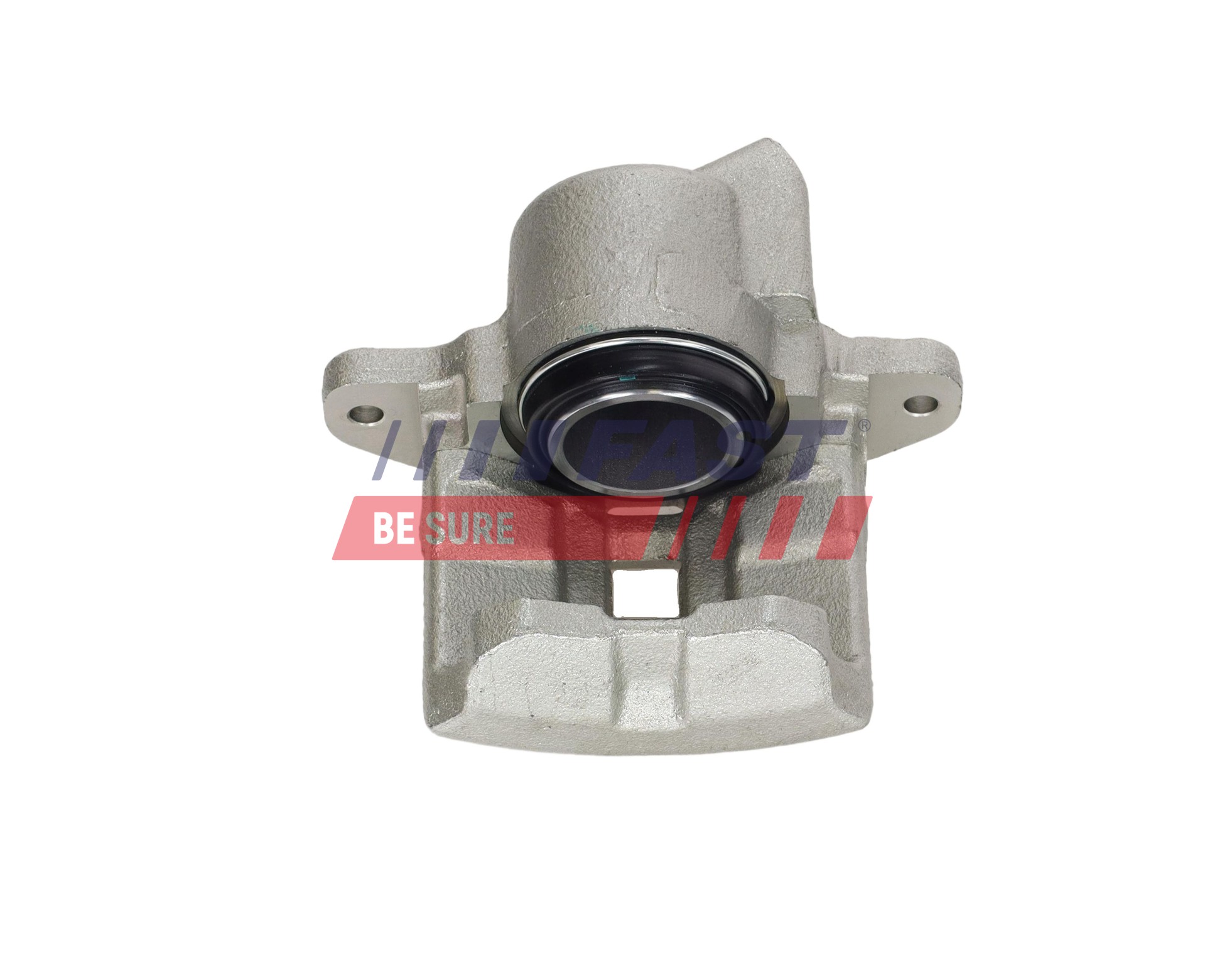 Ilustracja FT03383 FAST zacisk hamulca