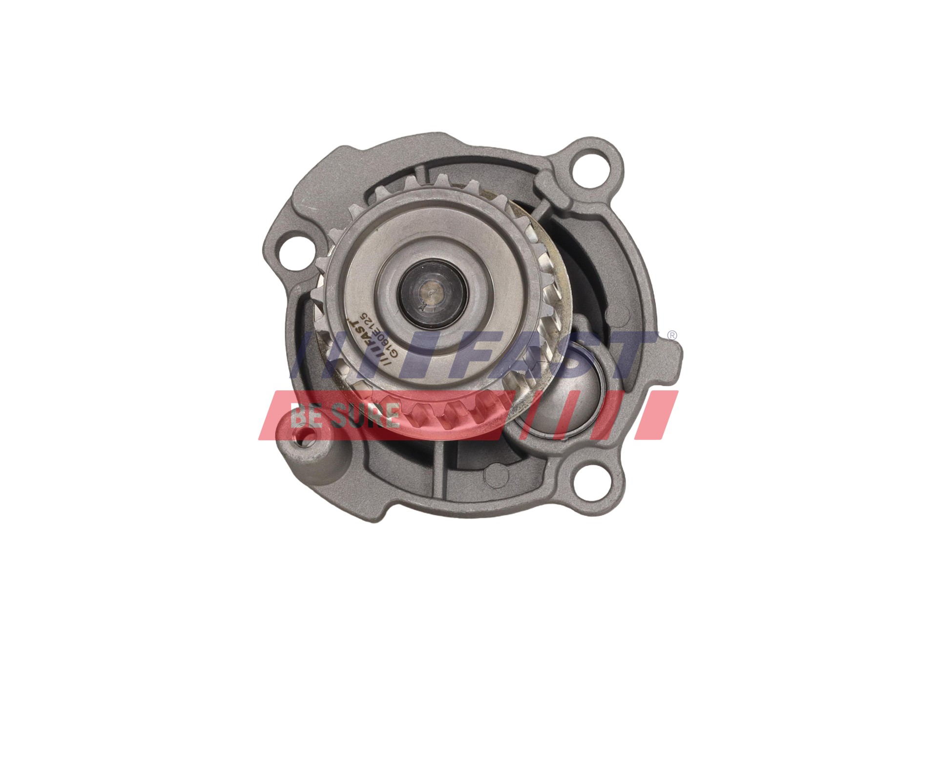 Ilustracja FT04437 FAST pompa wody, chłodzenie silnika