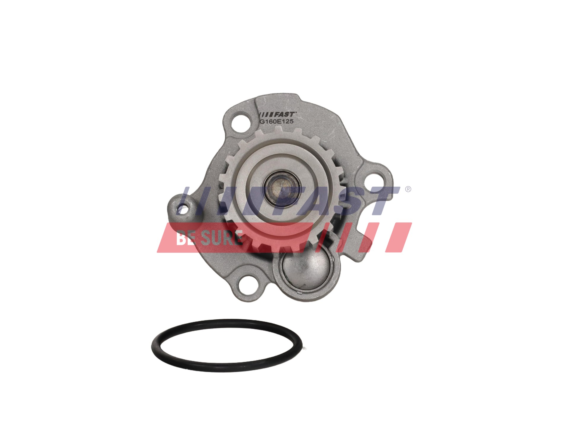 Ilustracja FT04446 FAST pompa wody, chłodzenie silnika