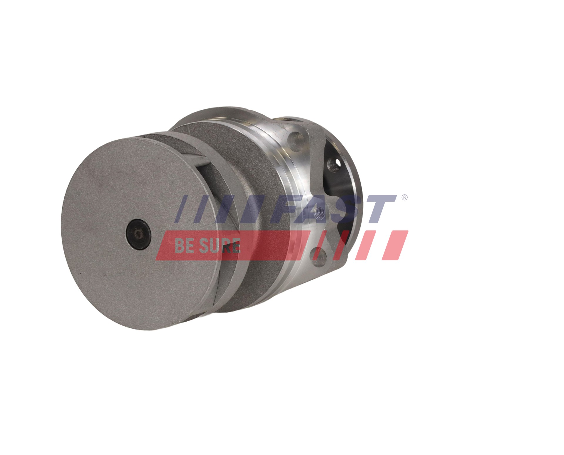 Ilustracja FT04465 FAST pompa wody, chłodzenie silnika