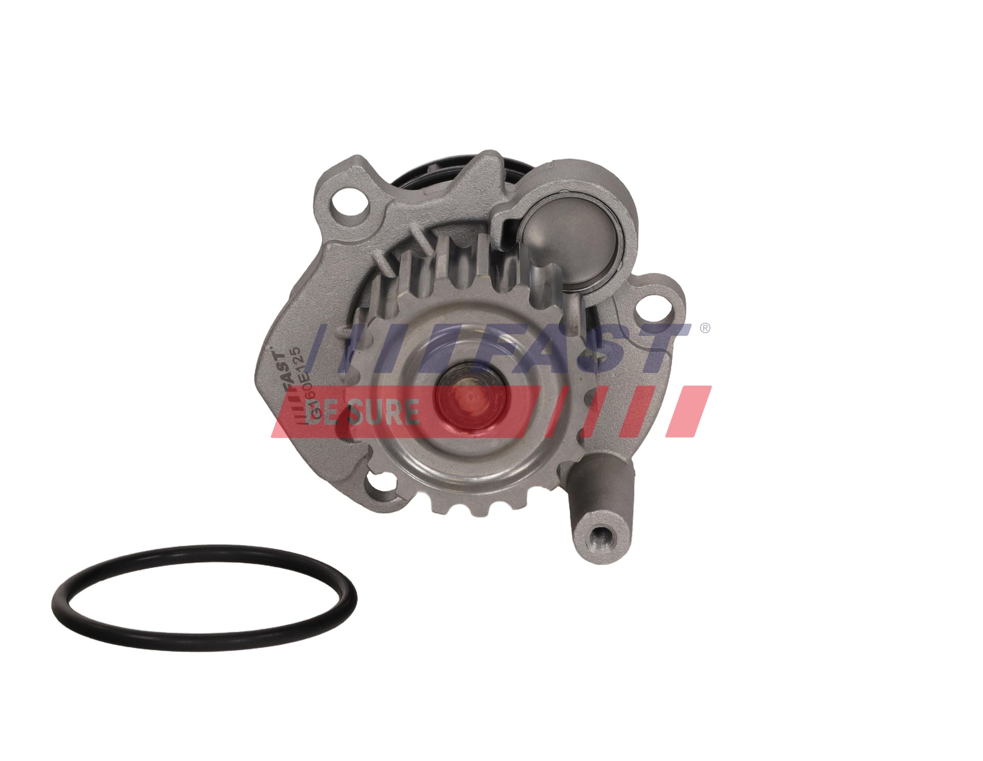 Ilustracja FT04467 FAST pompa wody, chłodzenie silnika