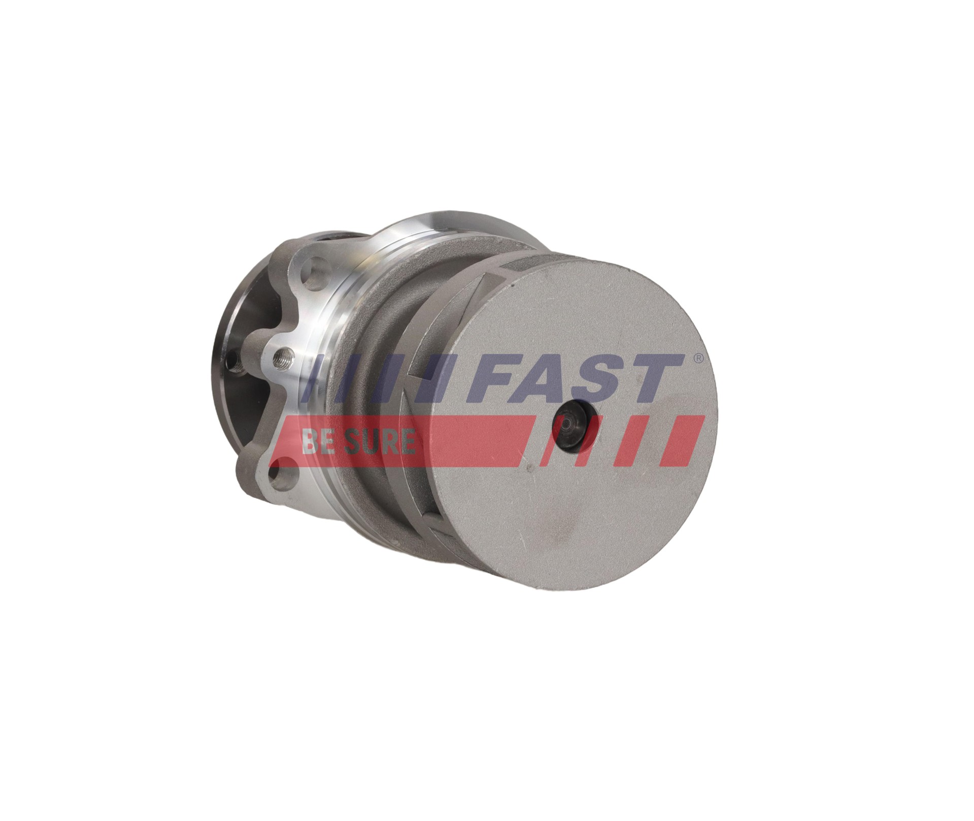 Ilustracja FT04496 FAST pompa wody, chłodzenie silnika