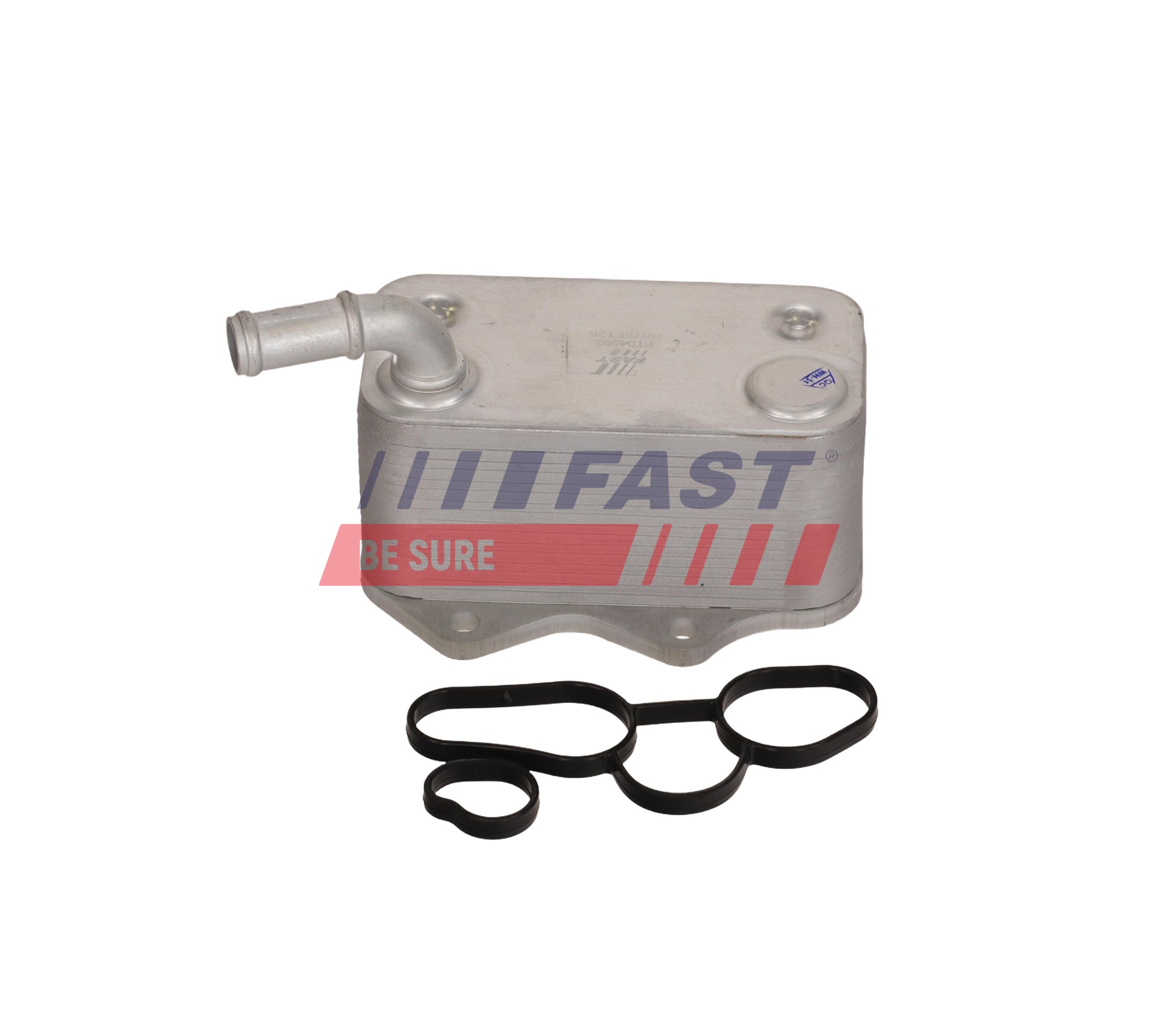 Ilustracja FT04592 FAST chłodnica oleju, olej silnikowy