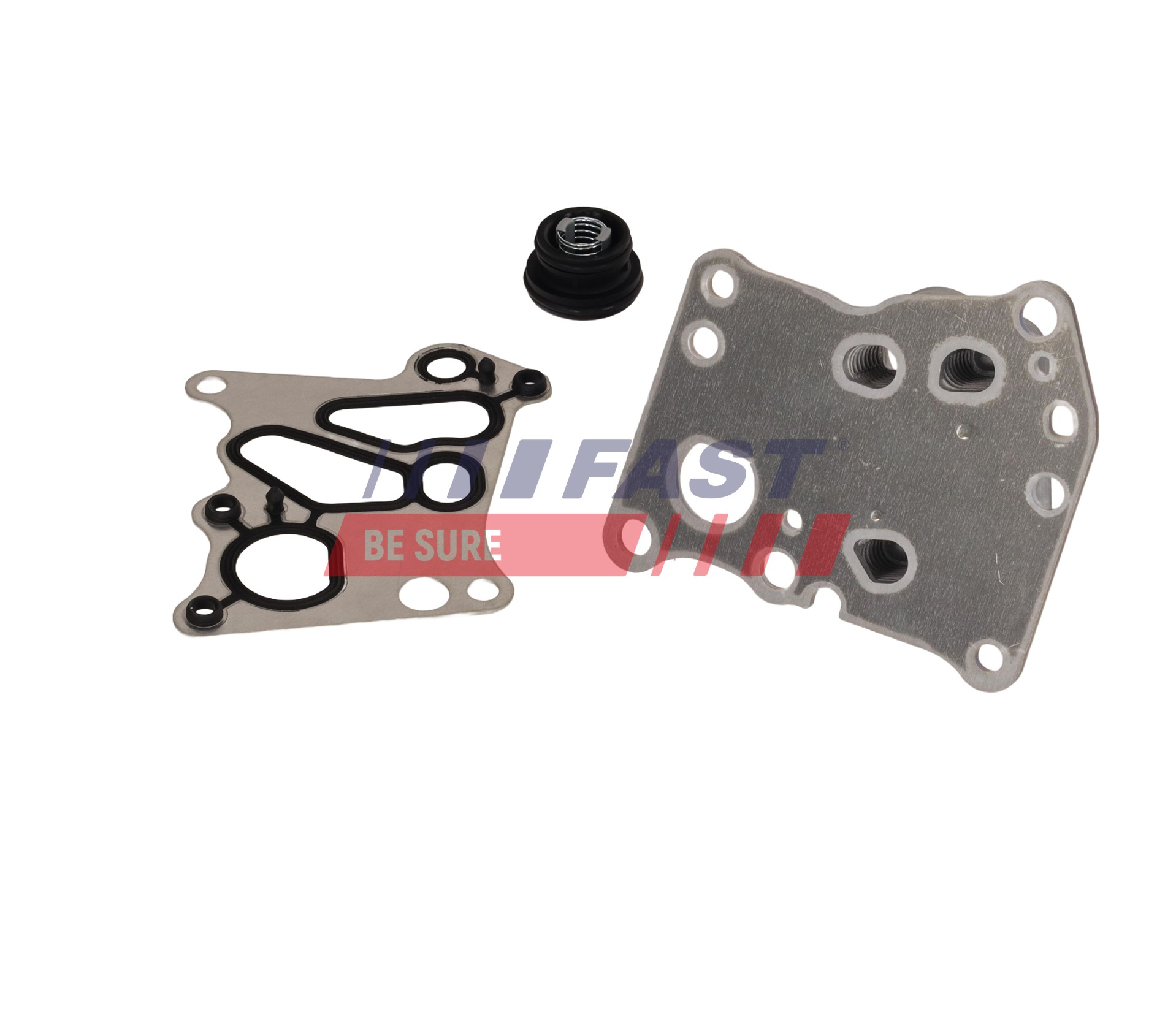 Ilustracja FT04630 FAST chłodnica oleju, olej silnikowy